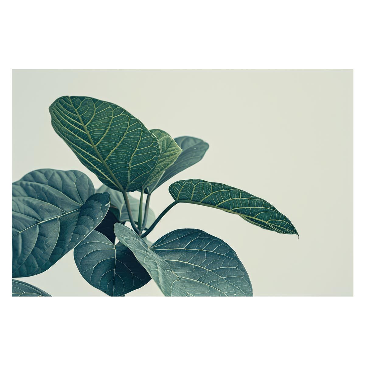 【SALE】土村芳さん掲載ページ（約A3サイズ） A3-九九表】A3サイズ 「かけざん表」 知育ポスター 算数のお勉強