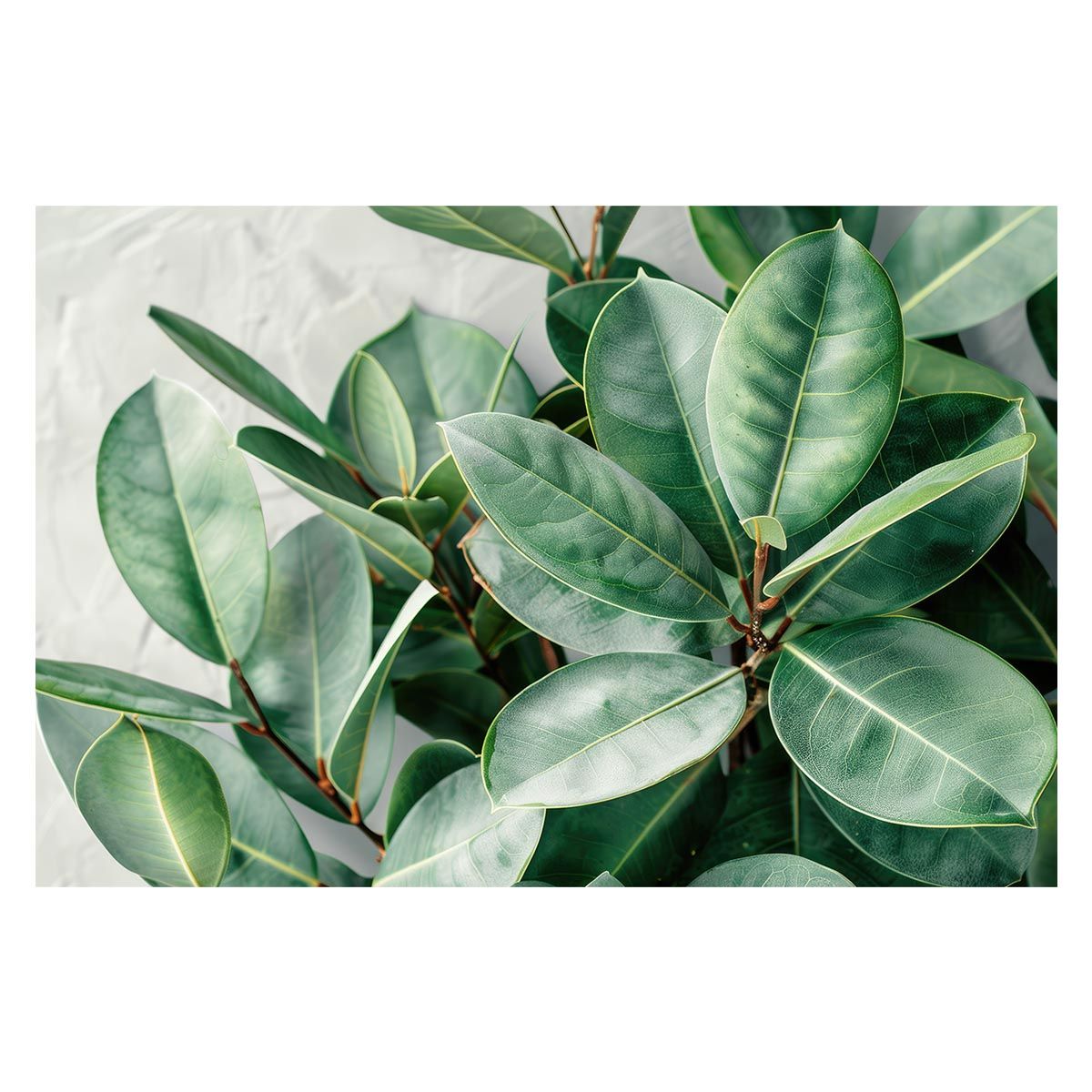 シ*ジ様 牛彫刻 極上根付 天然素材 希少 アンティーク 骨董品