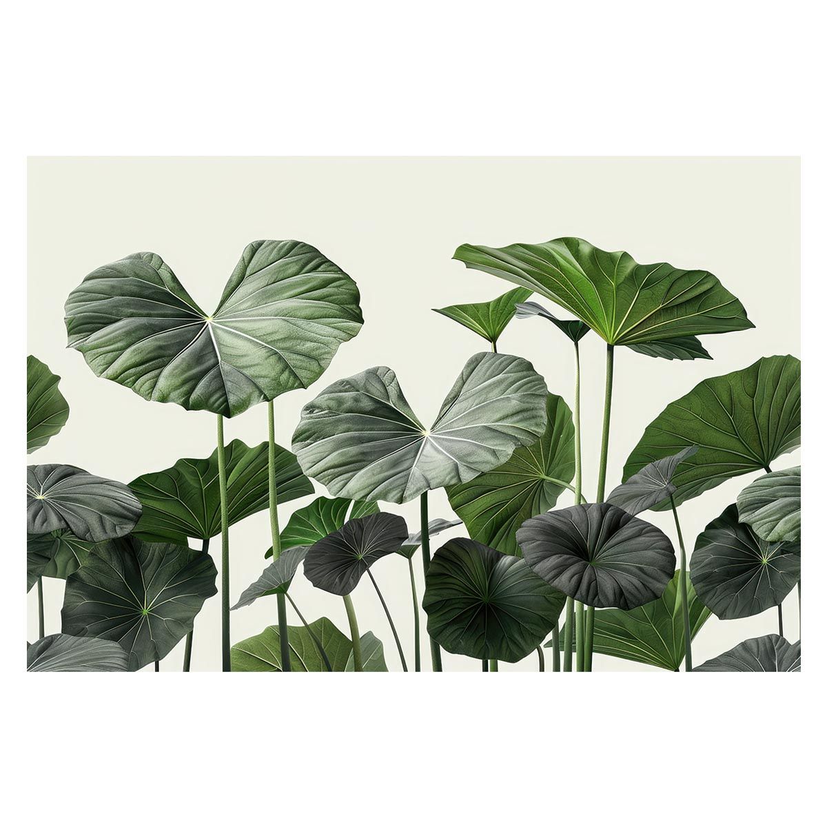 パワーブロック スタンド付き 片側 7-41kg＋2kg 引取限定 注文