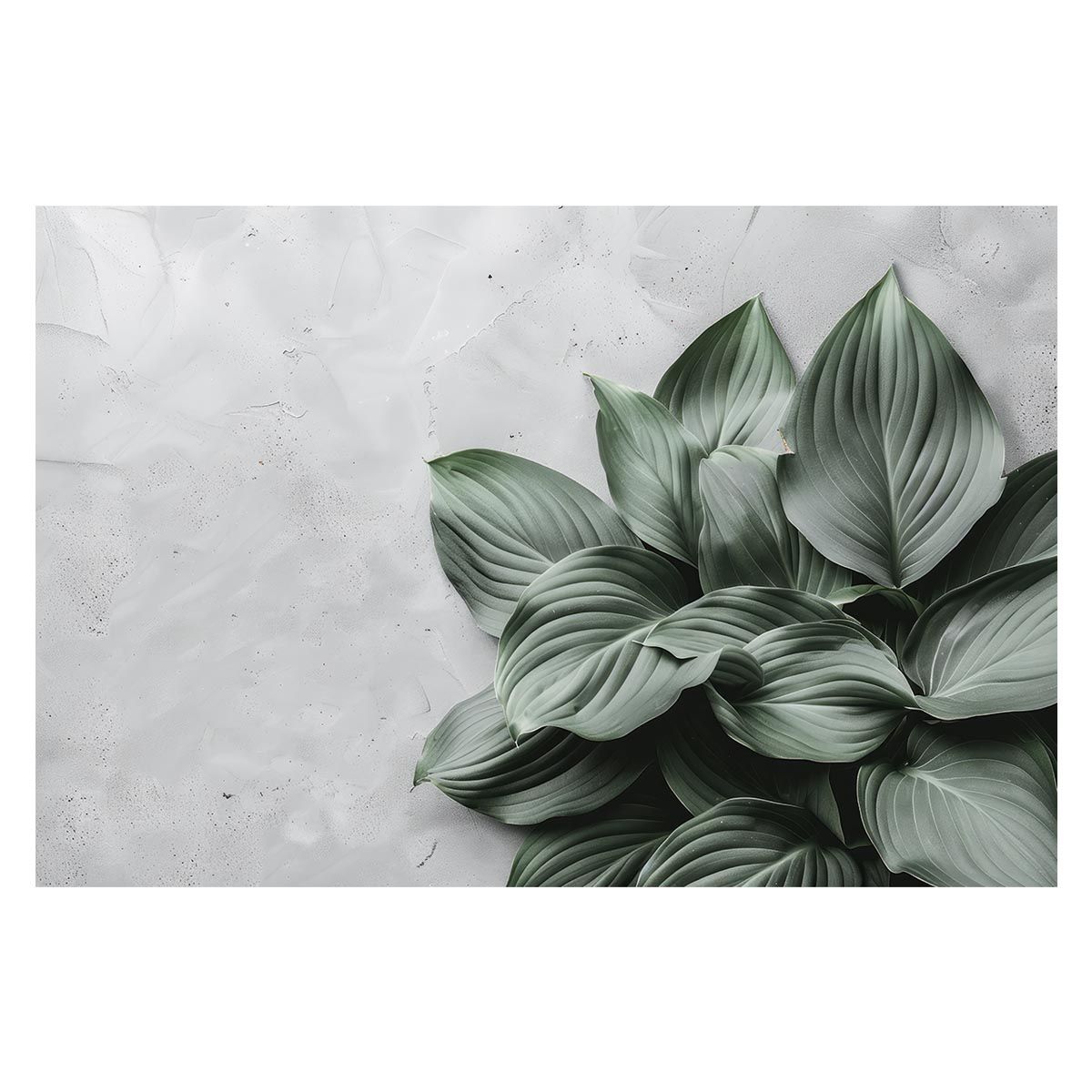 アドーア 羊皮 ノーカラー レザージャケット キルティング