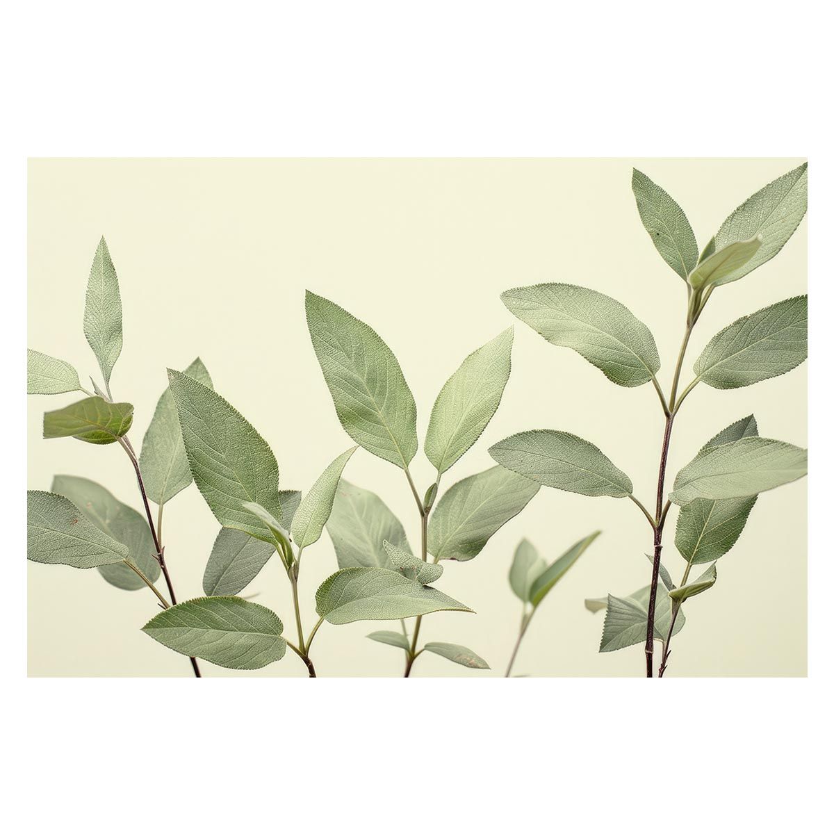 【B1サイズ（約73x103cm）】【lh-poster-4941】植物 グリーン 葉っぱ 観葉 ポスター ボタニカル 草 自然 インテリア アート