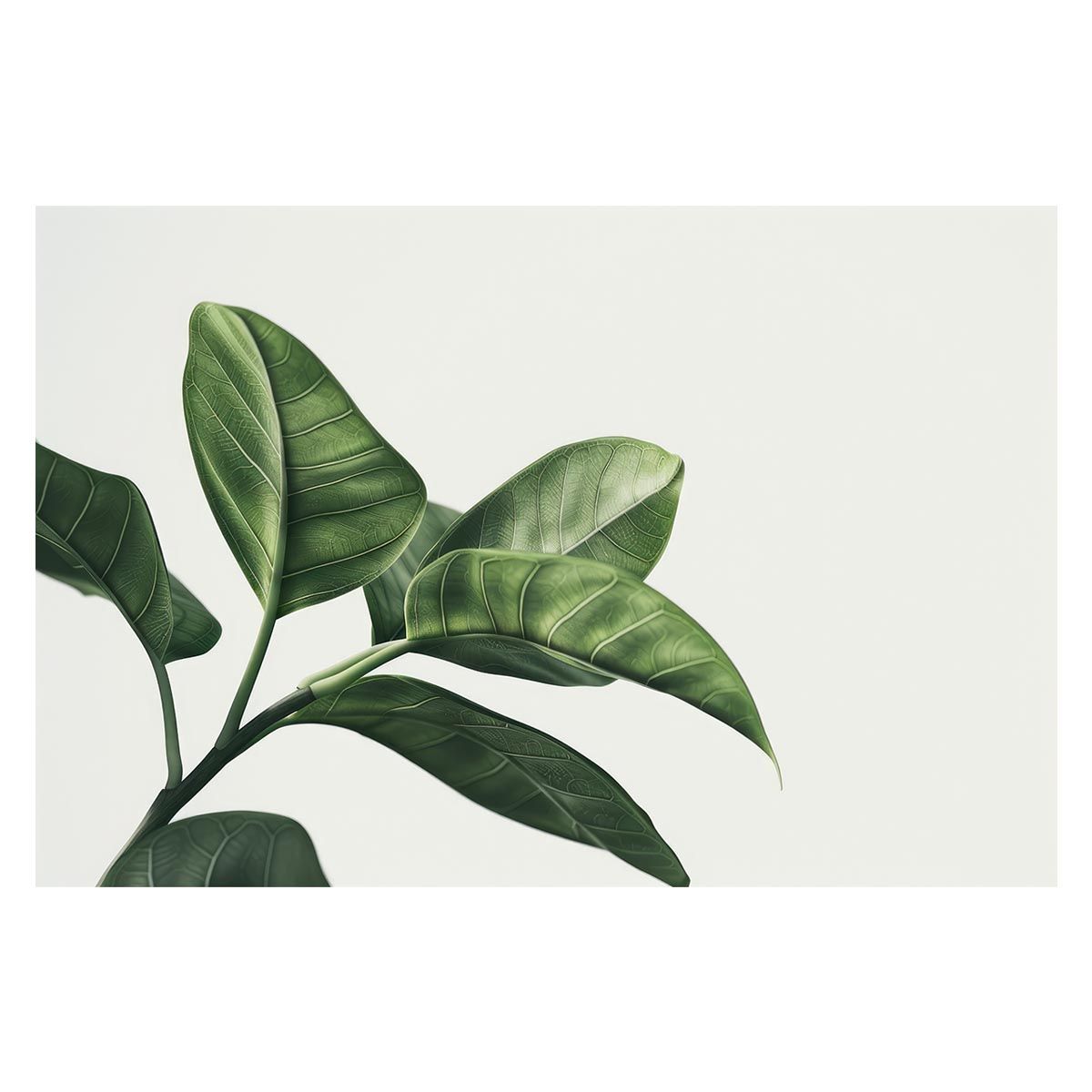 【A1サイズ（約59x84cm）】【lh-poster-4942】植物 グリーン 葉っぱ 観葉 ポスター ボタニカル 草 自然 インテリア アート