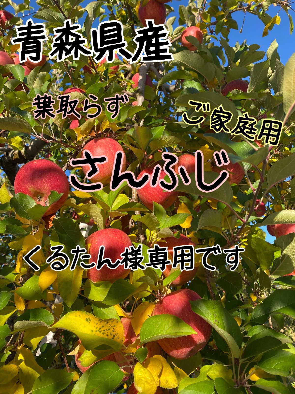 くるたん様専用です 最新