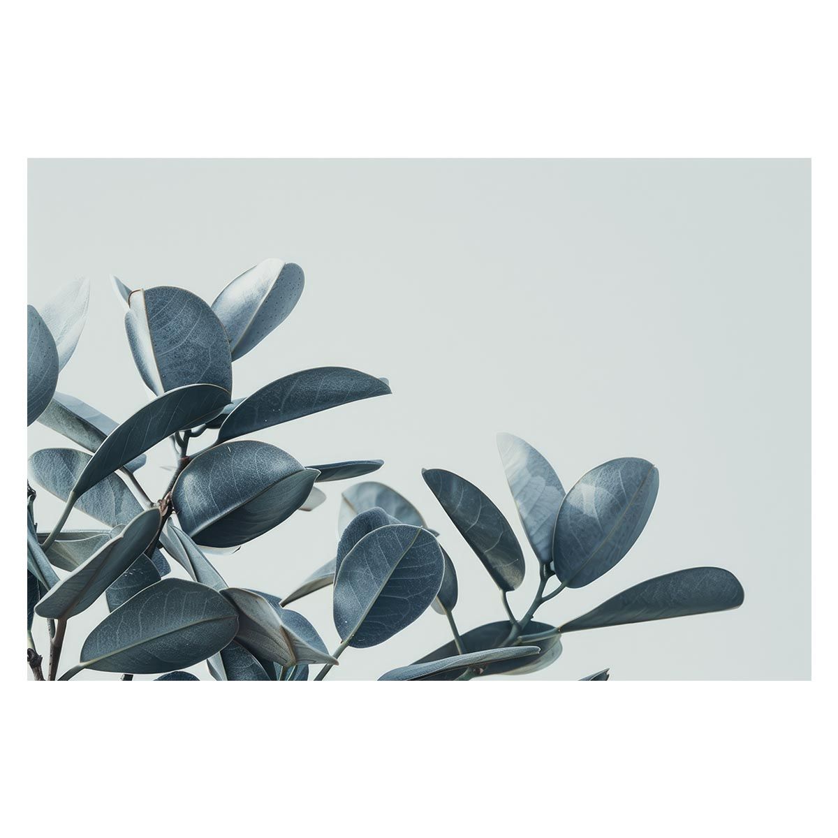 メキシコ公演 ℃-ute 全メンバー 直筆サイン入りポスター 矢島舞美 鈴木愛理