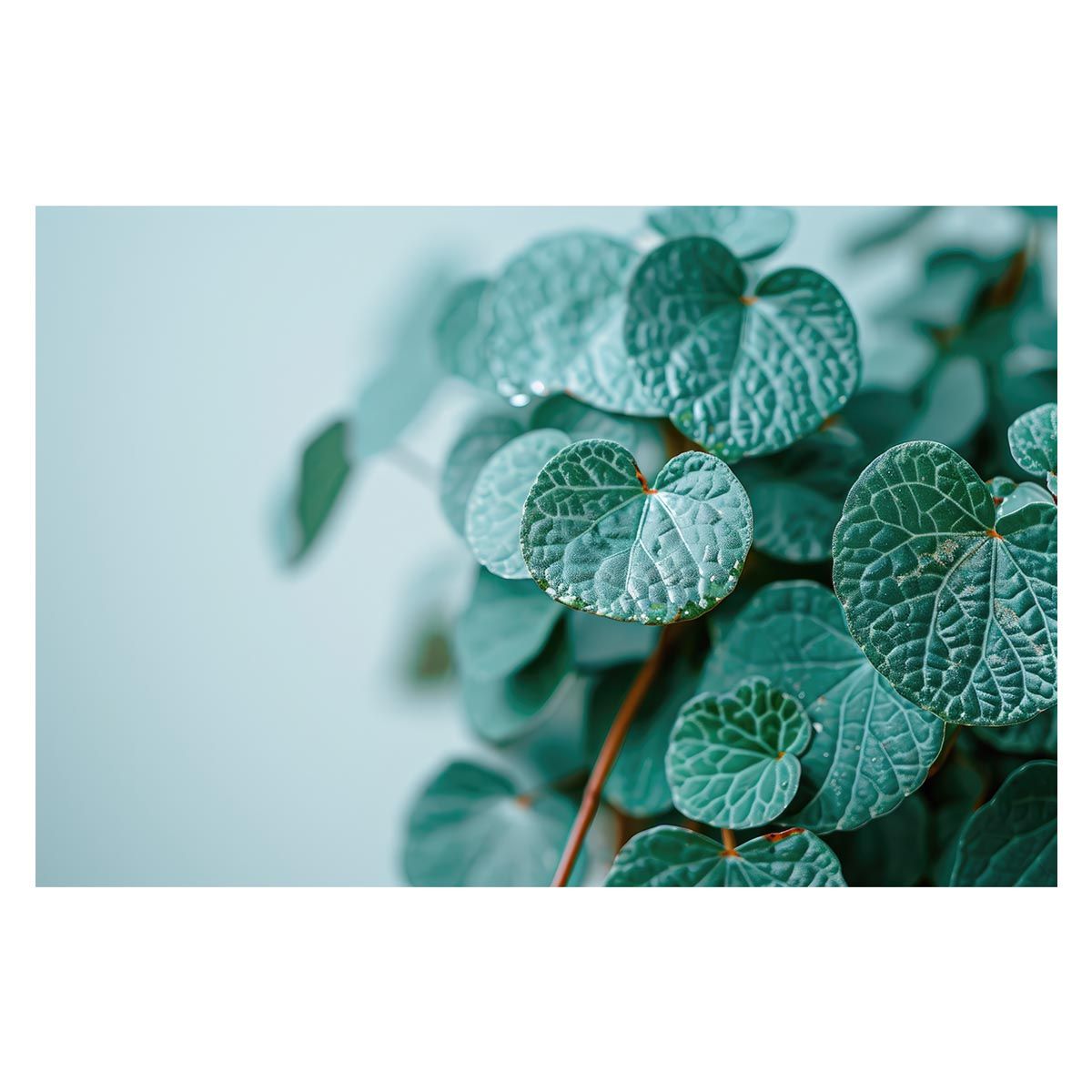 廣瀬鐡筆堂 赤漆の焼き付け塗装 シャーペン