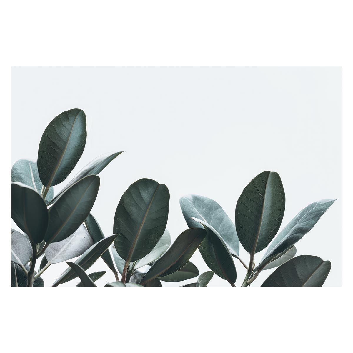 【A1サイズ（約59x84cm）】【lh-poster-4960】植物 グリーン 葉っぱ 観葉 ポスター ボタニカル 草 自然 インテリア アート