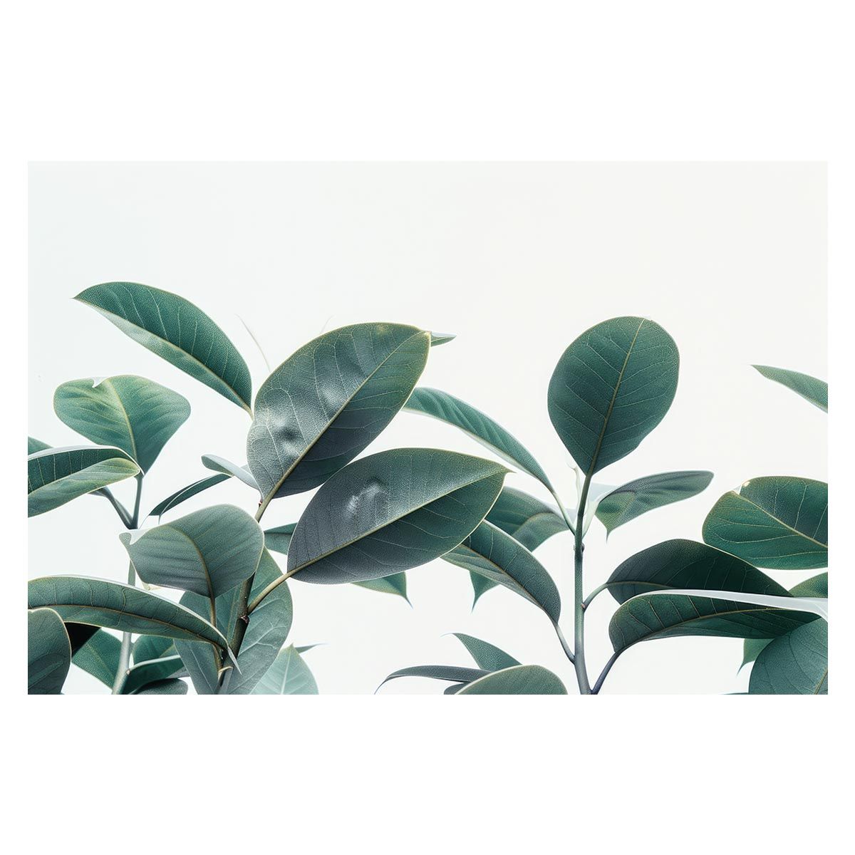 大塚家具 木目 ガラスのデザインが美しいキャビネット ナチュラル