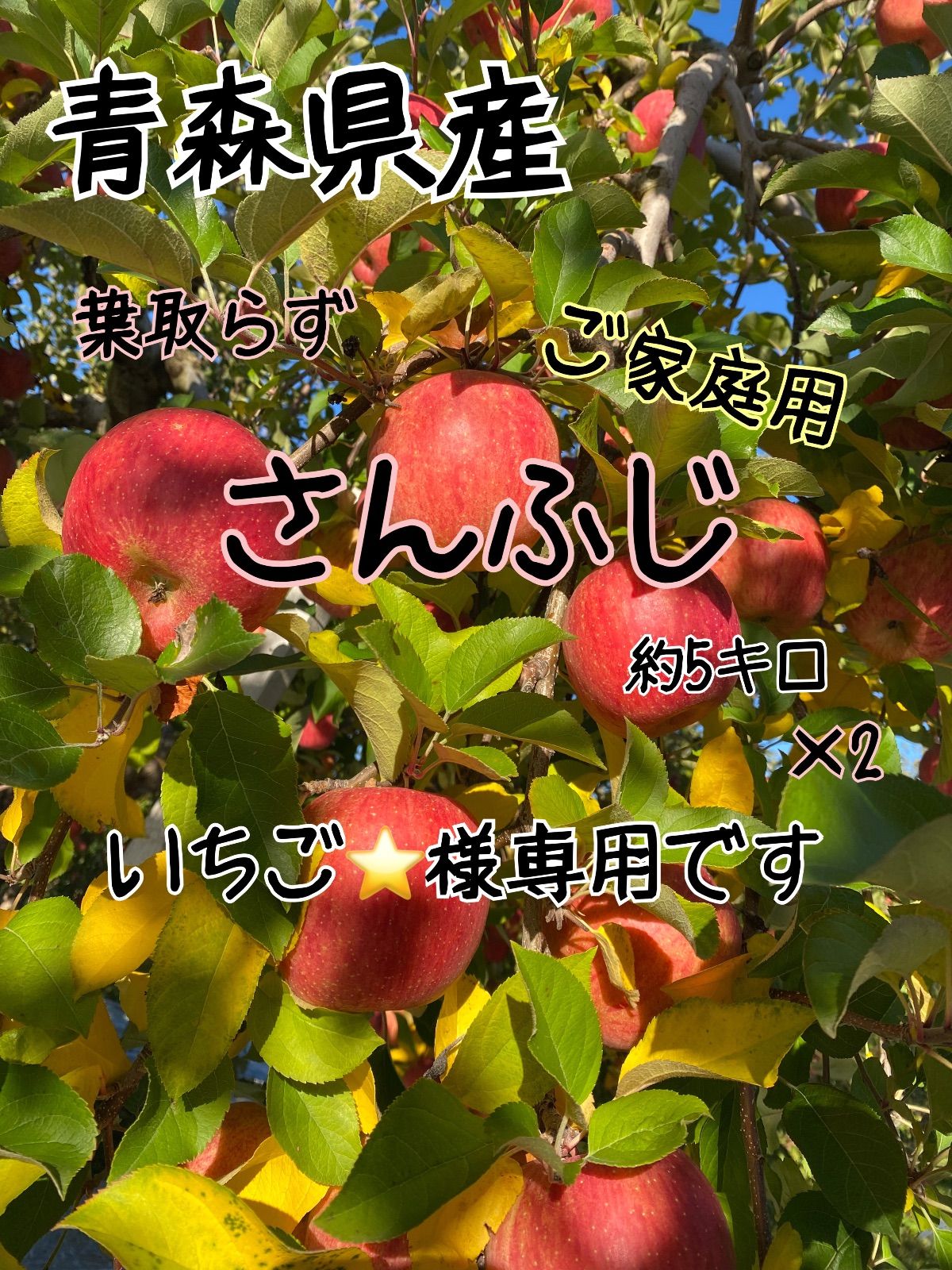 いちご様専用 いちご様 専用 いちご様専用 苺様専用 様 莓 イチゴ様