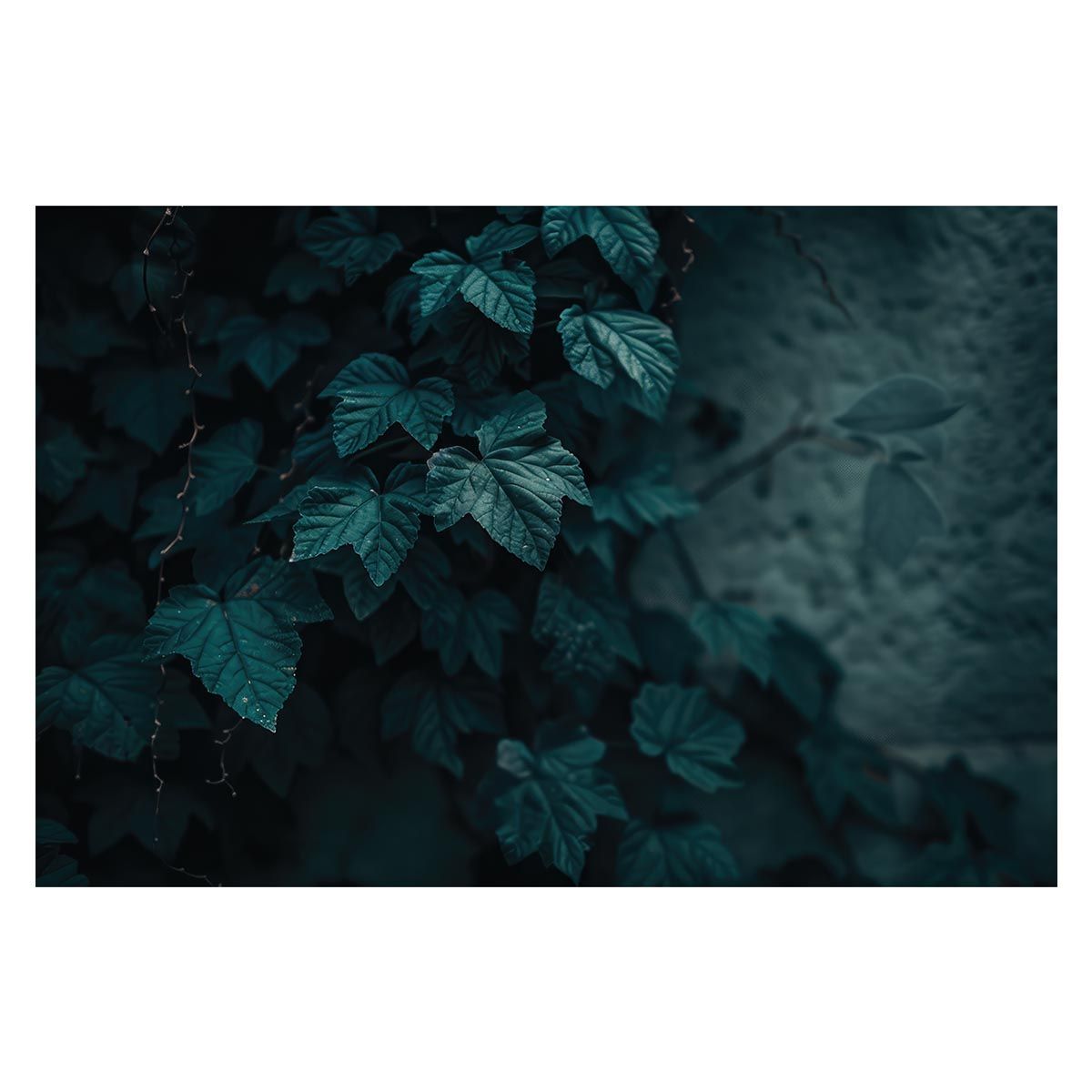 【A2サイズ（約42x59cm）】【lh-poster-4968】植物 グリーン 葉っぱ 観葉 ポスター ボタニカル 草 自然 インテリア アート