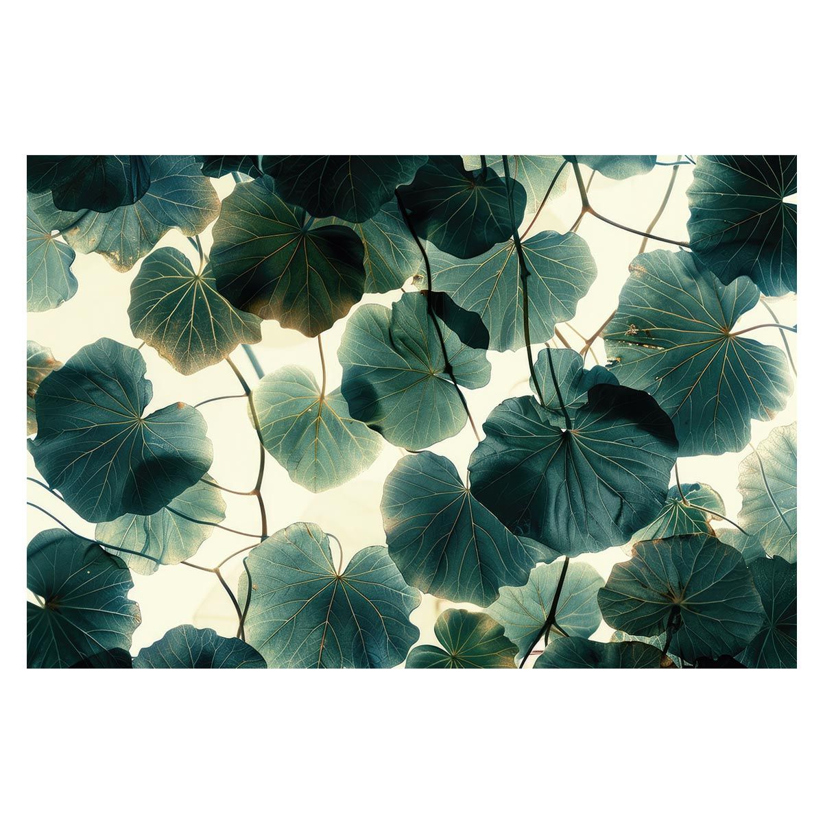 m*。様 ショップ 新品未使用FEILER プティバス 花柄 ミントグリーン m