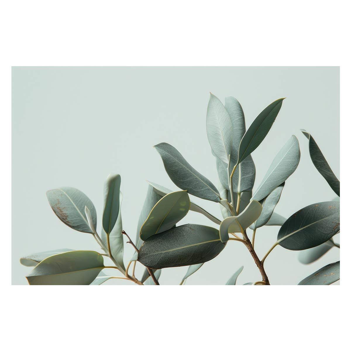 A2サイズ（約42x59cm）】【lh-poster-4972】植物 グリーン 葉っぱ 観葉