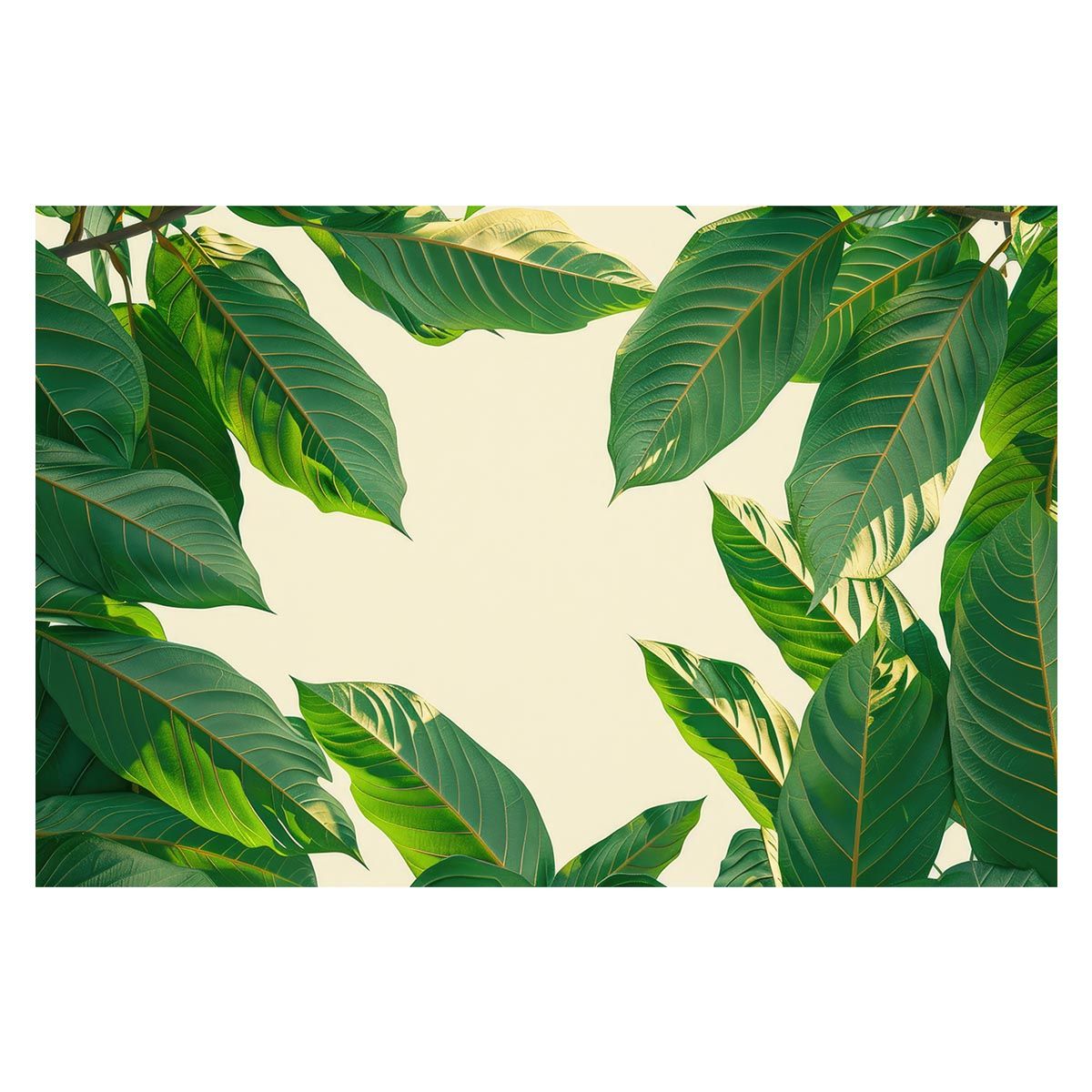 【B1サイズ（約73x103cm）】【lh-poster-4987】植物 グリーン 葉っぱ 観葉 ポスター ボタニカル 草 自然 インテリア アート