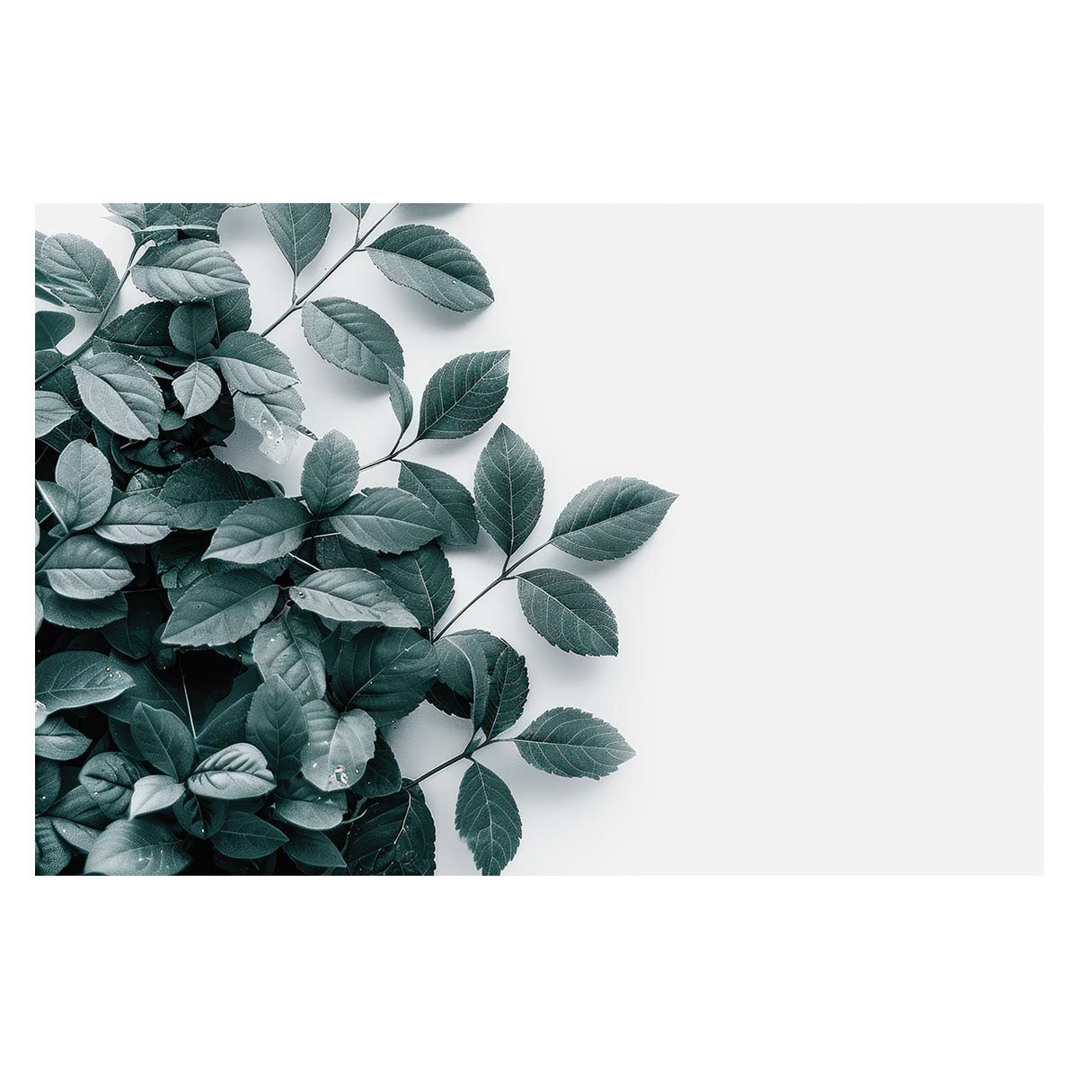 新品 稀少 ジャッカル クリアボール 15ポンド