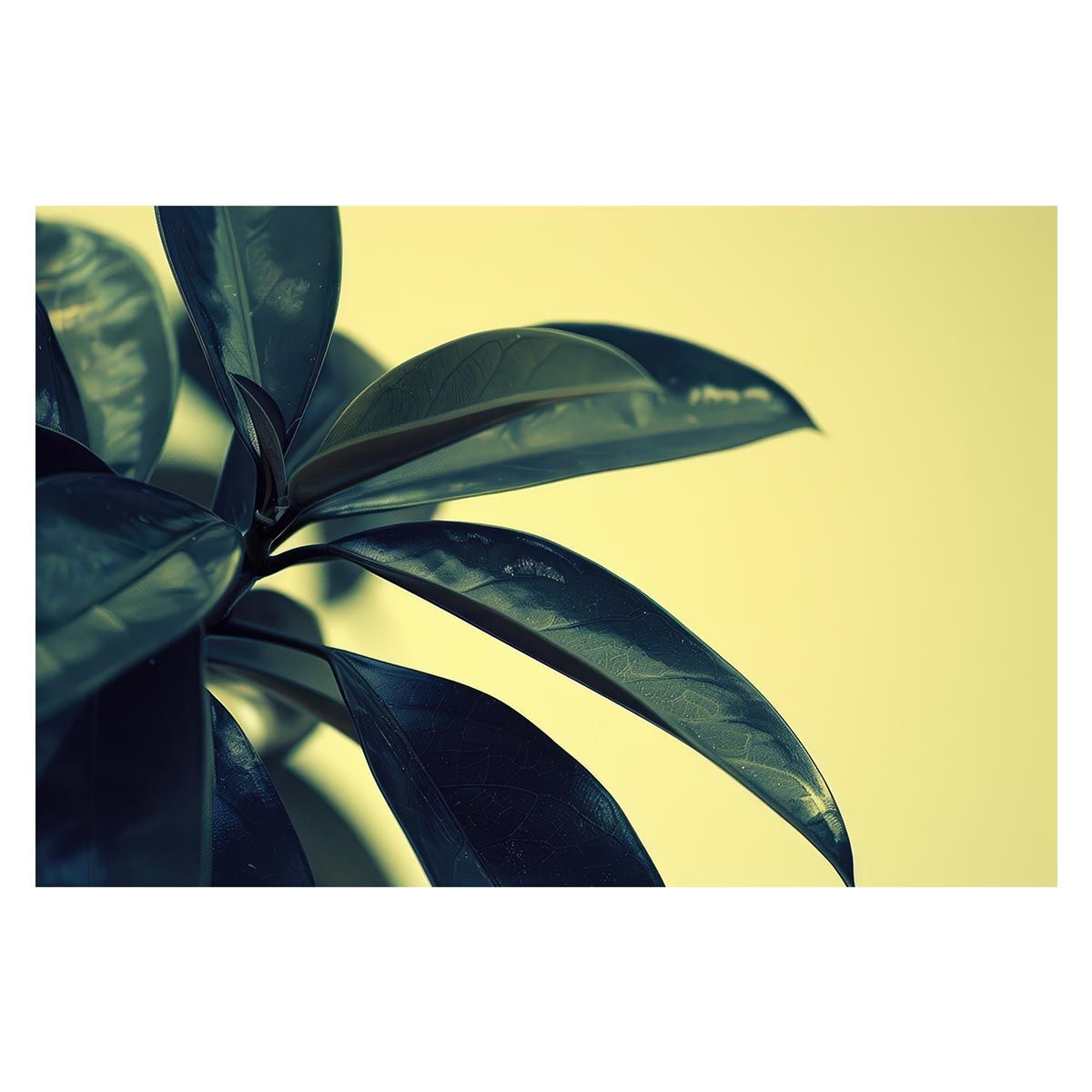 A1サイズ（約59x84cm）】【lh-poster-4990】植物 グリーン 葉っぱ 観葉