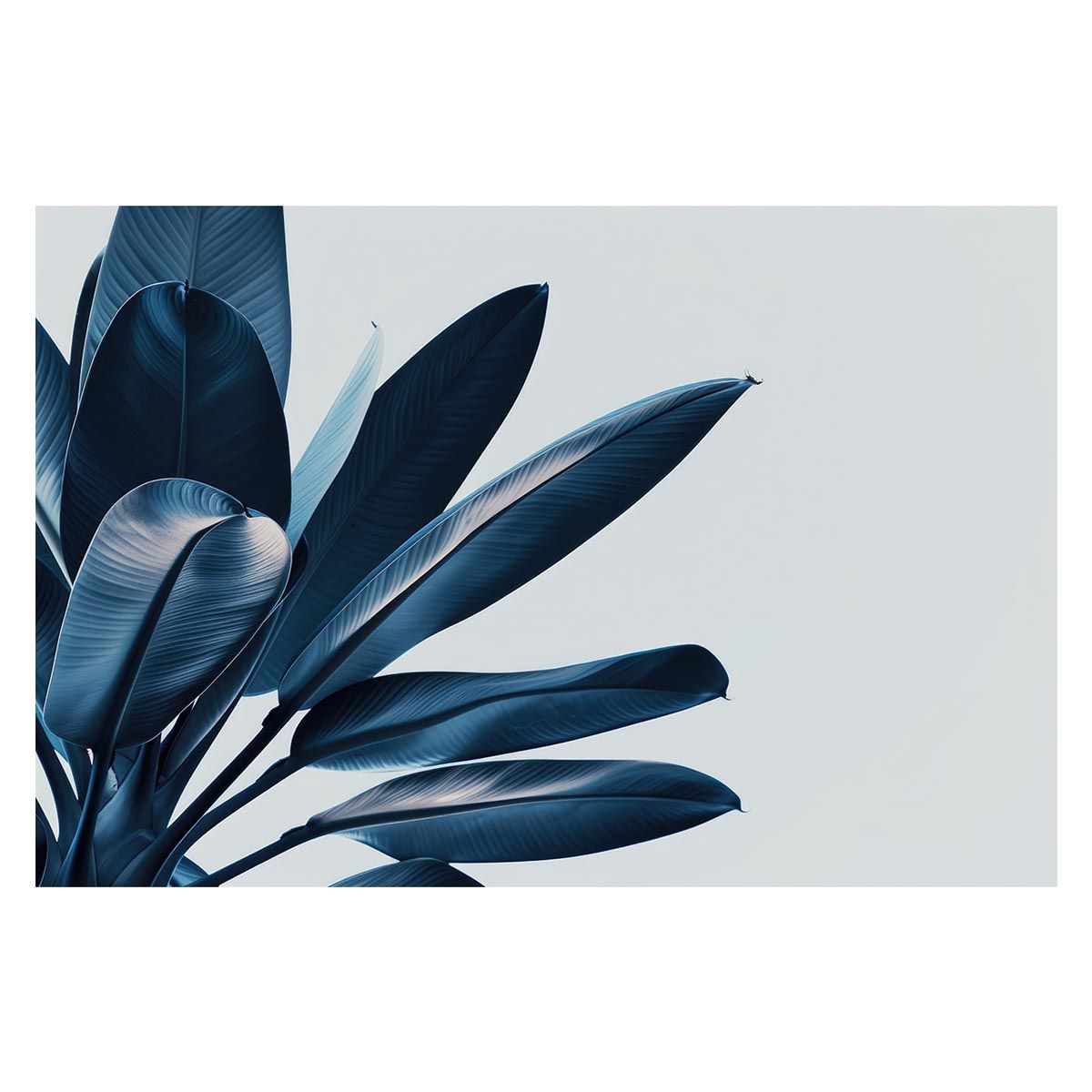 日本土器事典 大川清・鈴木公雄・工楽善通 雄山閣