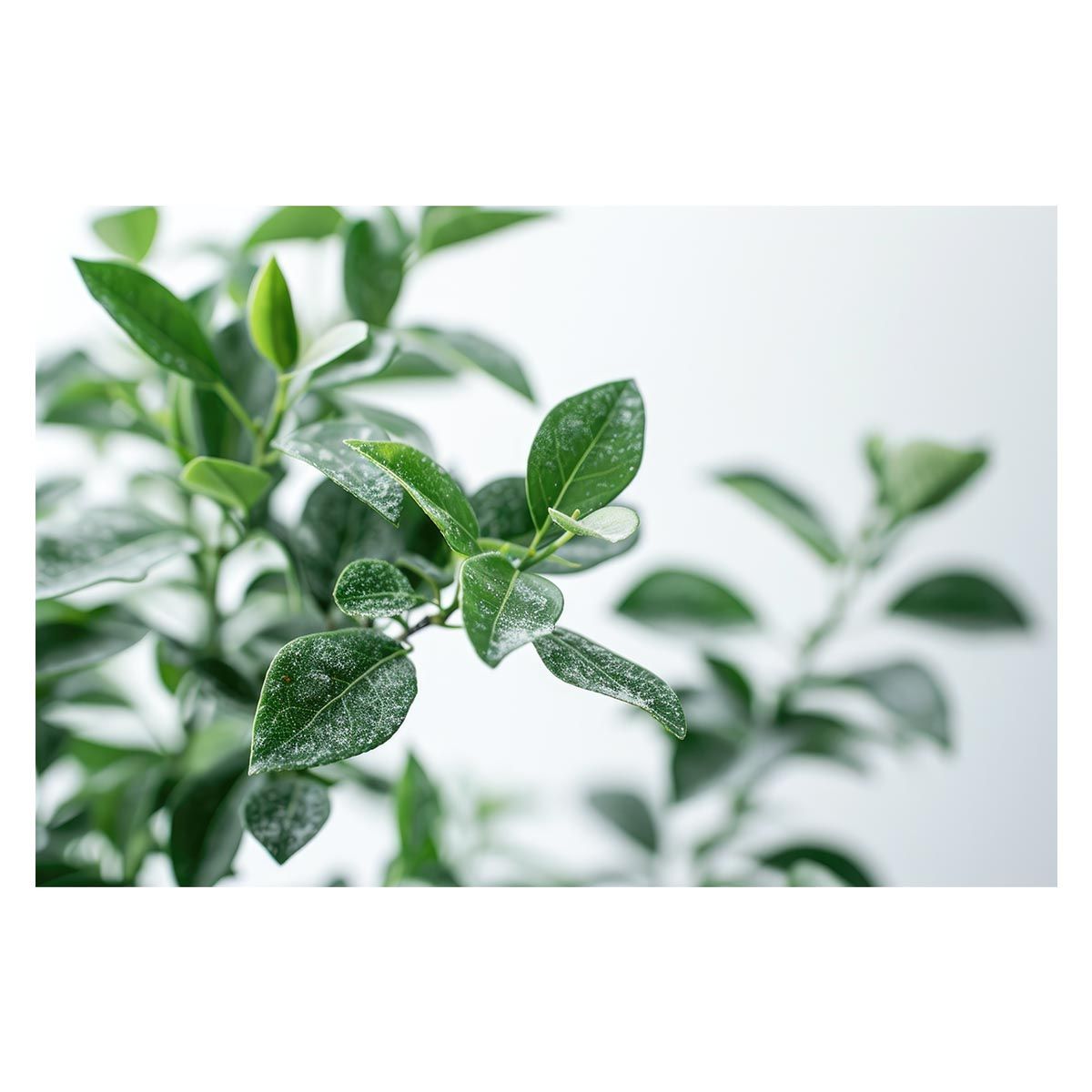 新品未使用品 希少なクイーンサイズ 西川 掛け布団カバー ラベンダー色