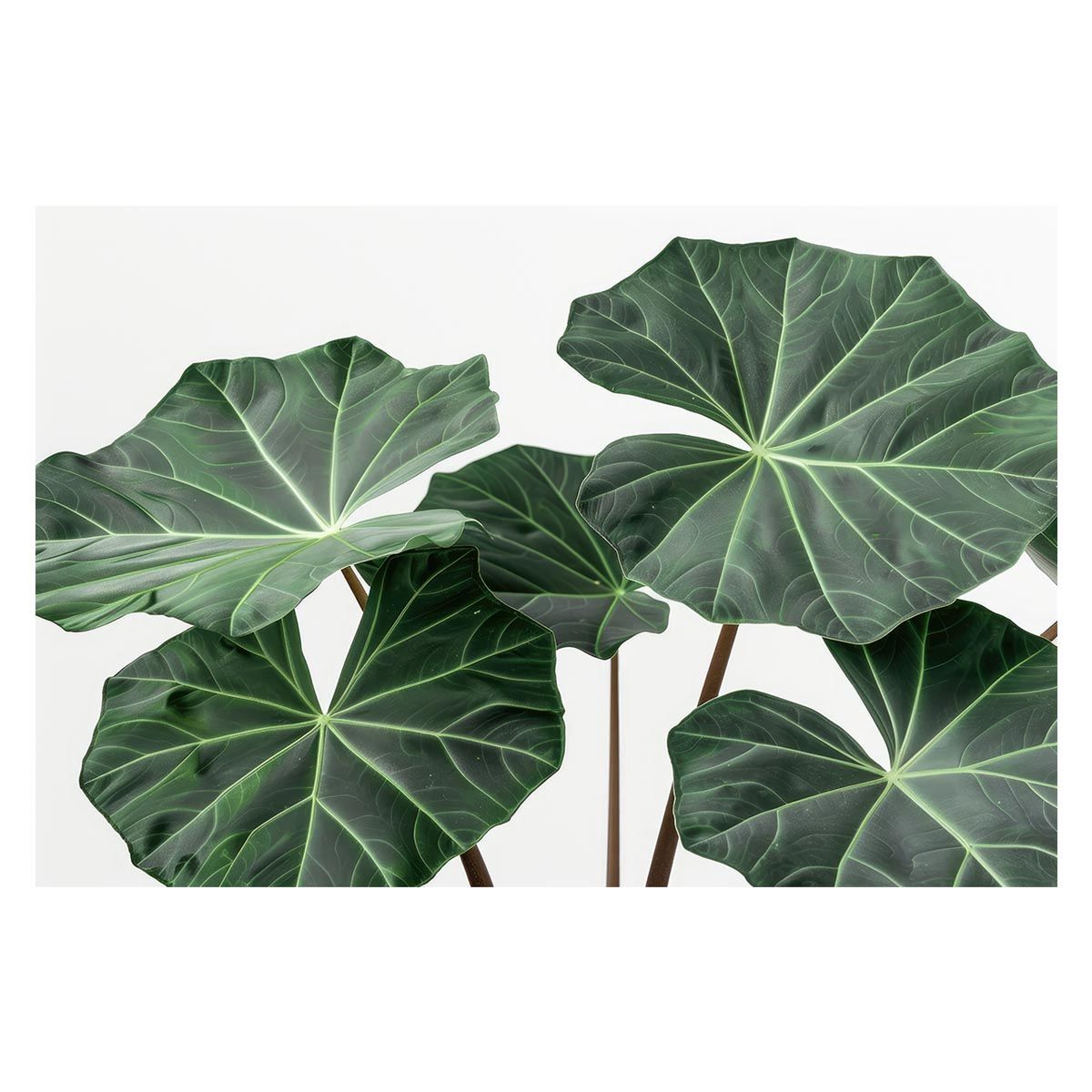 小売 津田恒美 黄金期 広島東洋カープ 復刻ユニフォーム ハイ