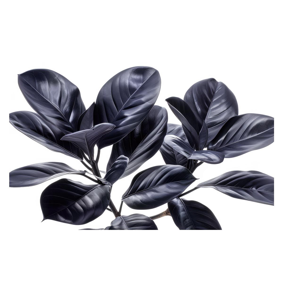 ヴィクトリースパーク 熱風海陸ブシロード アメ サイン3種