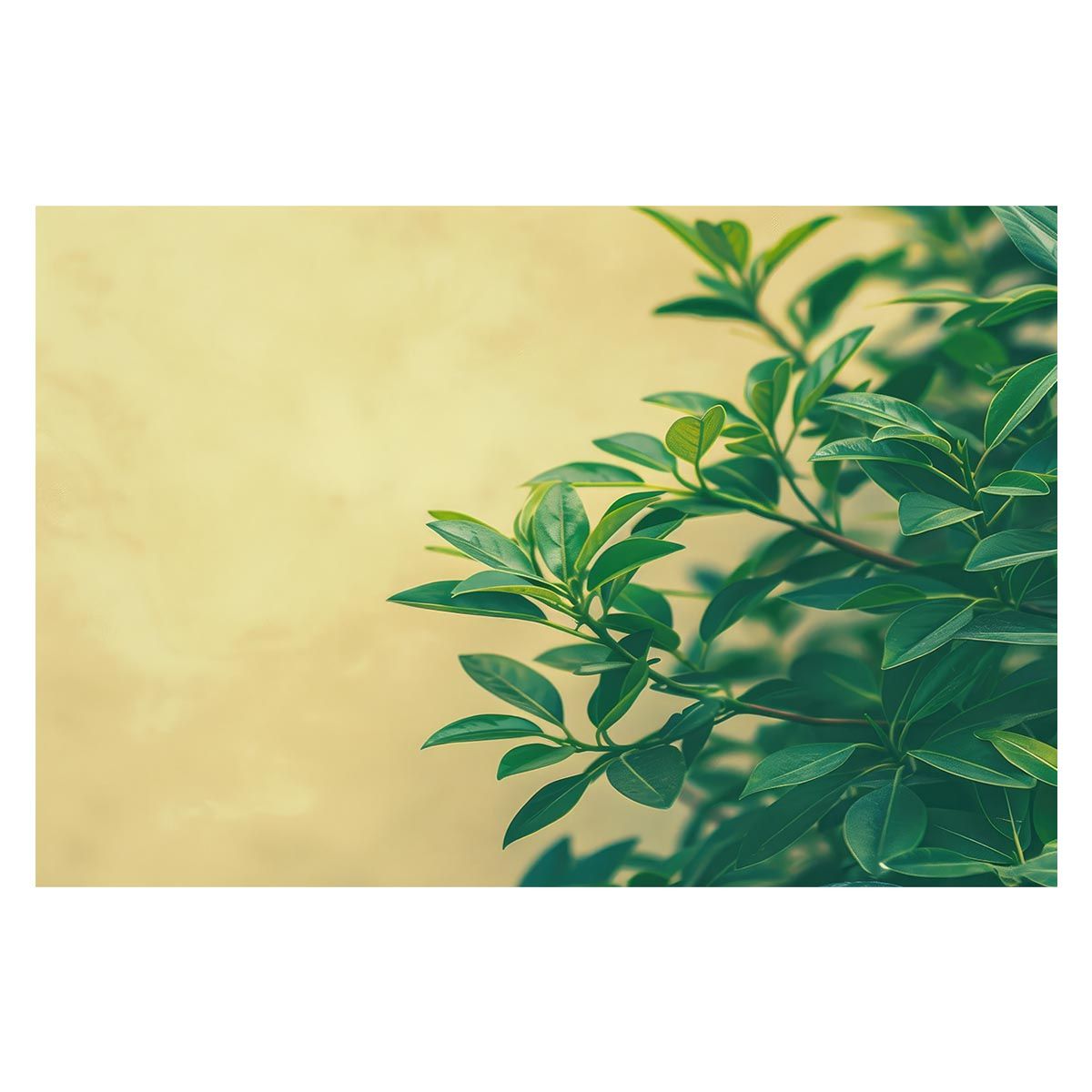 【A2サイズ（約42x59cm）】【lh-poster-5013】植物 グリーン 葉っぱ 観葉 ポスター ボタニカル 草 自然 インテリア アート