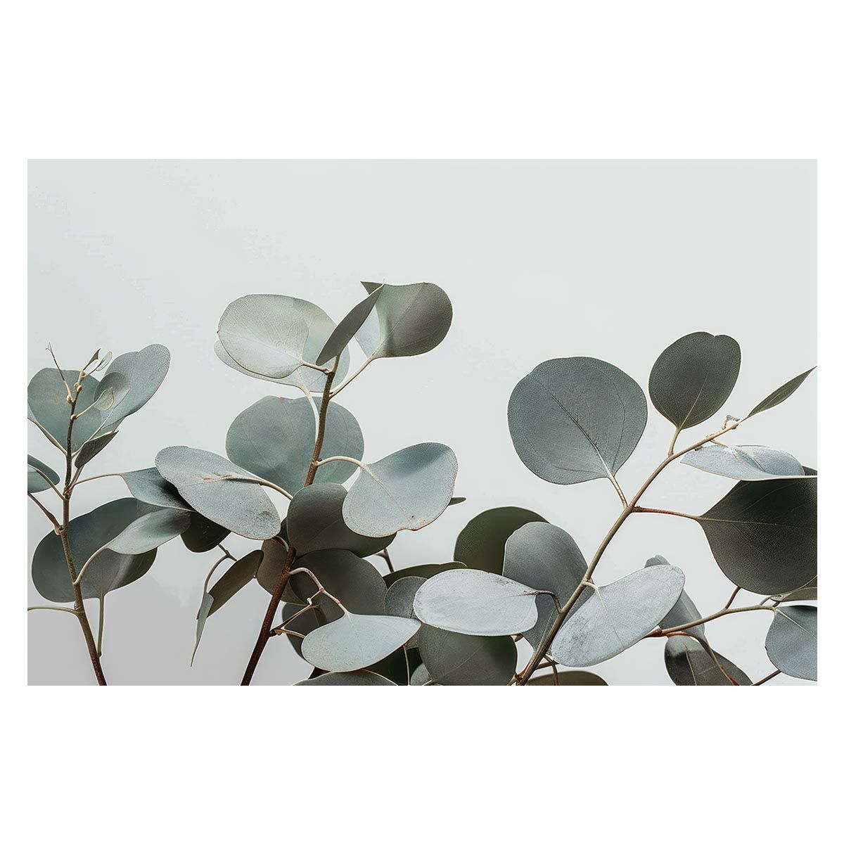 現代の吊橋 [単行本] 川田 忠樹