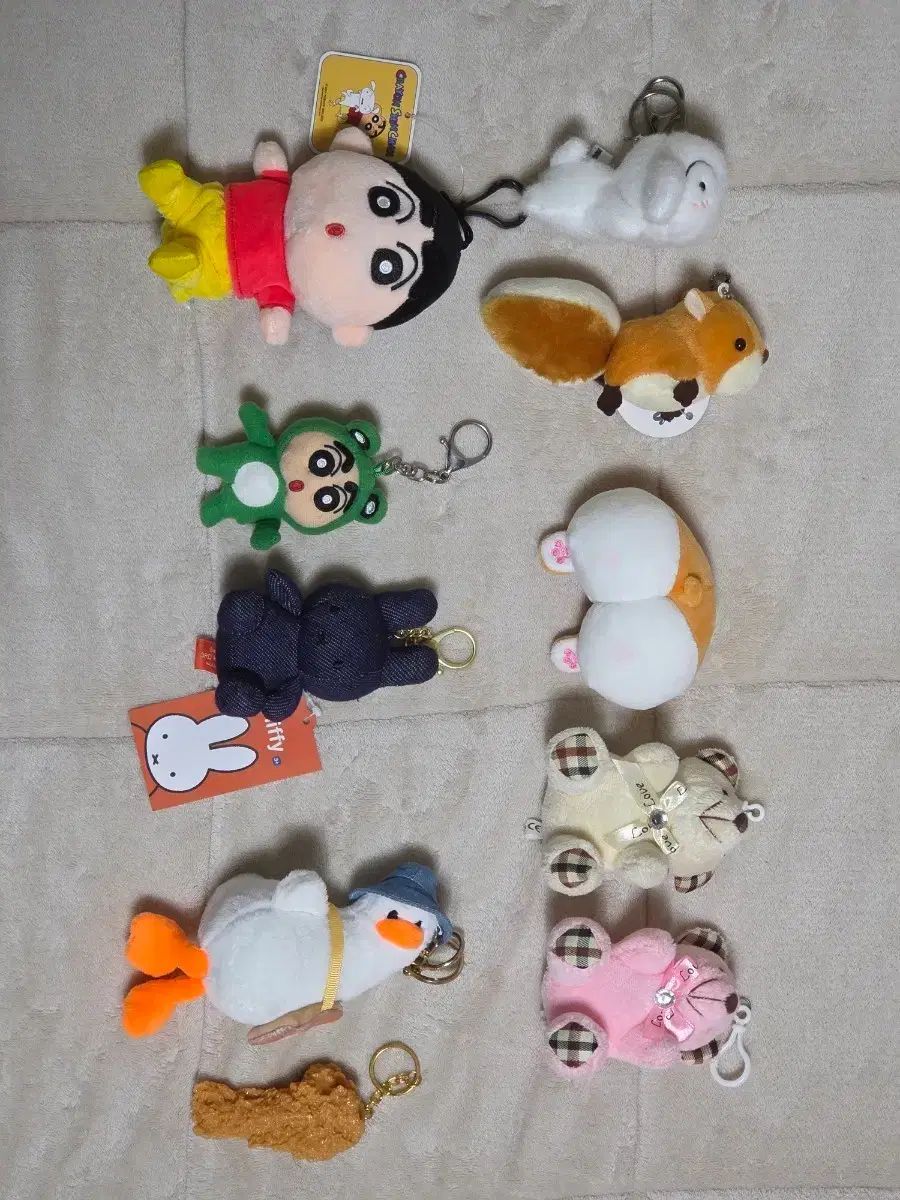 グラキリス 現地球 鶴仙園 関口貴仁 セキグチタカヒト