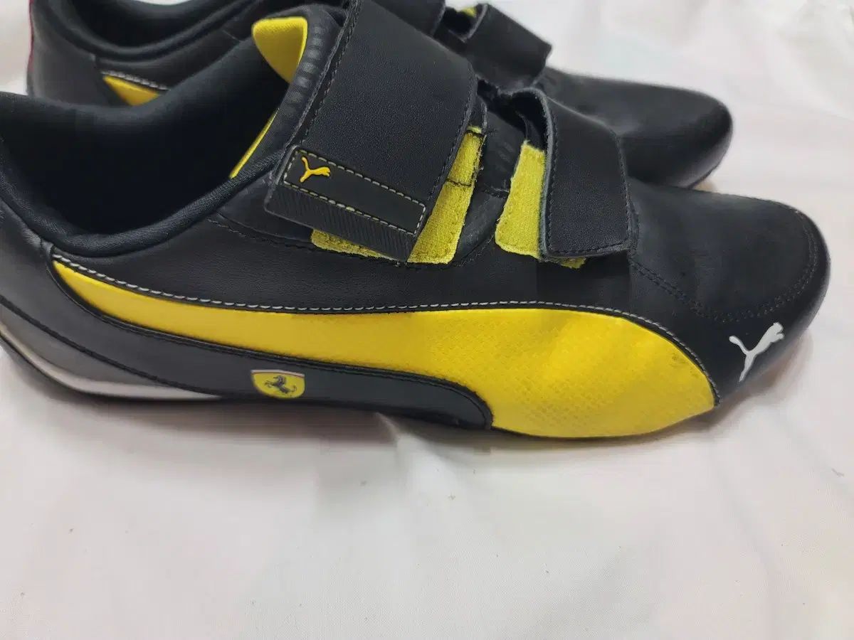 プーマ ドライビングシューズ スニーカー 260