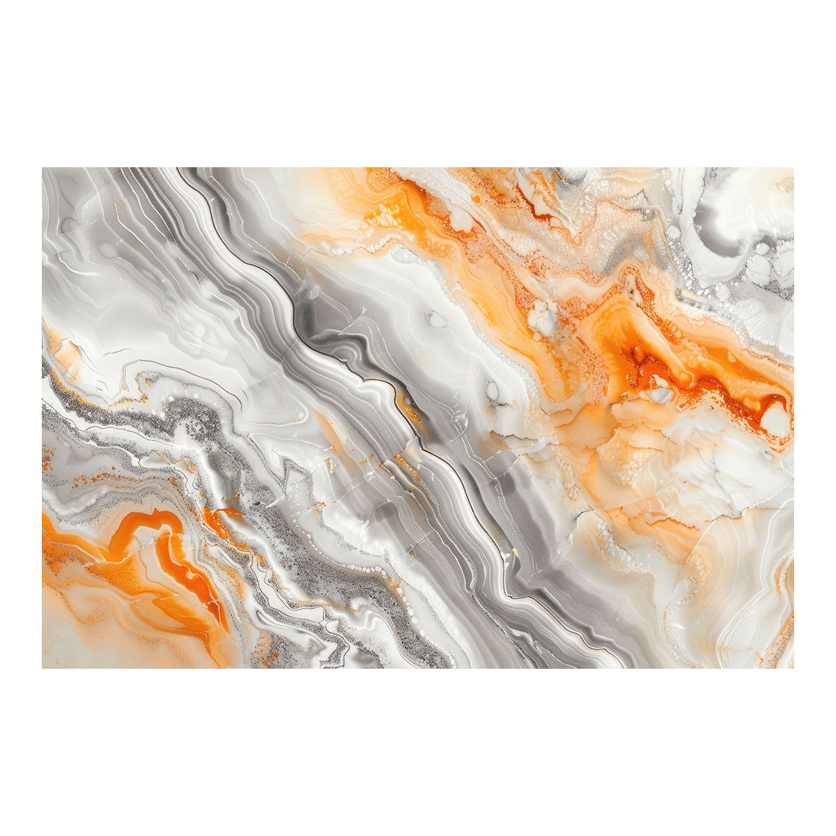 洋書 英語 / ベトコン日誌 / チョン・ヌー・タン/ ベトナム戦争