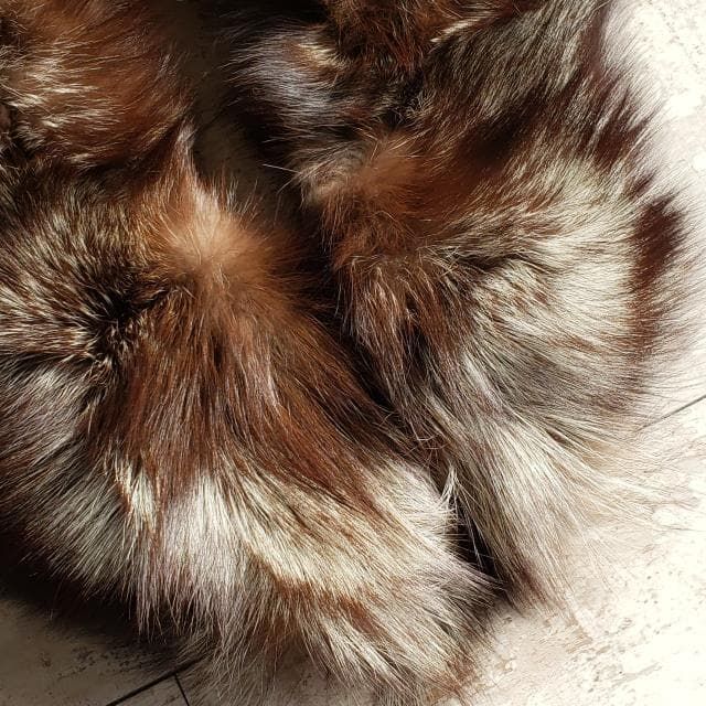 サガフォックス シルバーフォックス