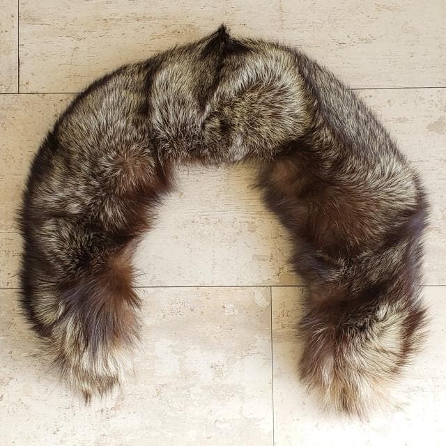 サガフォックス