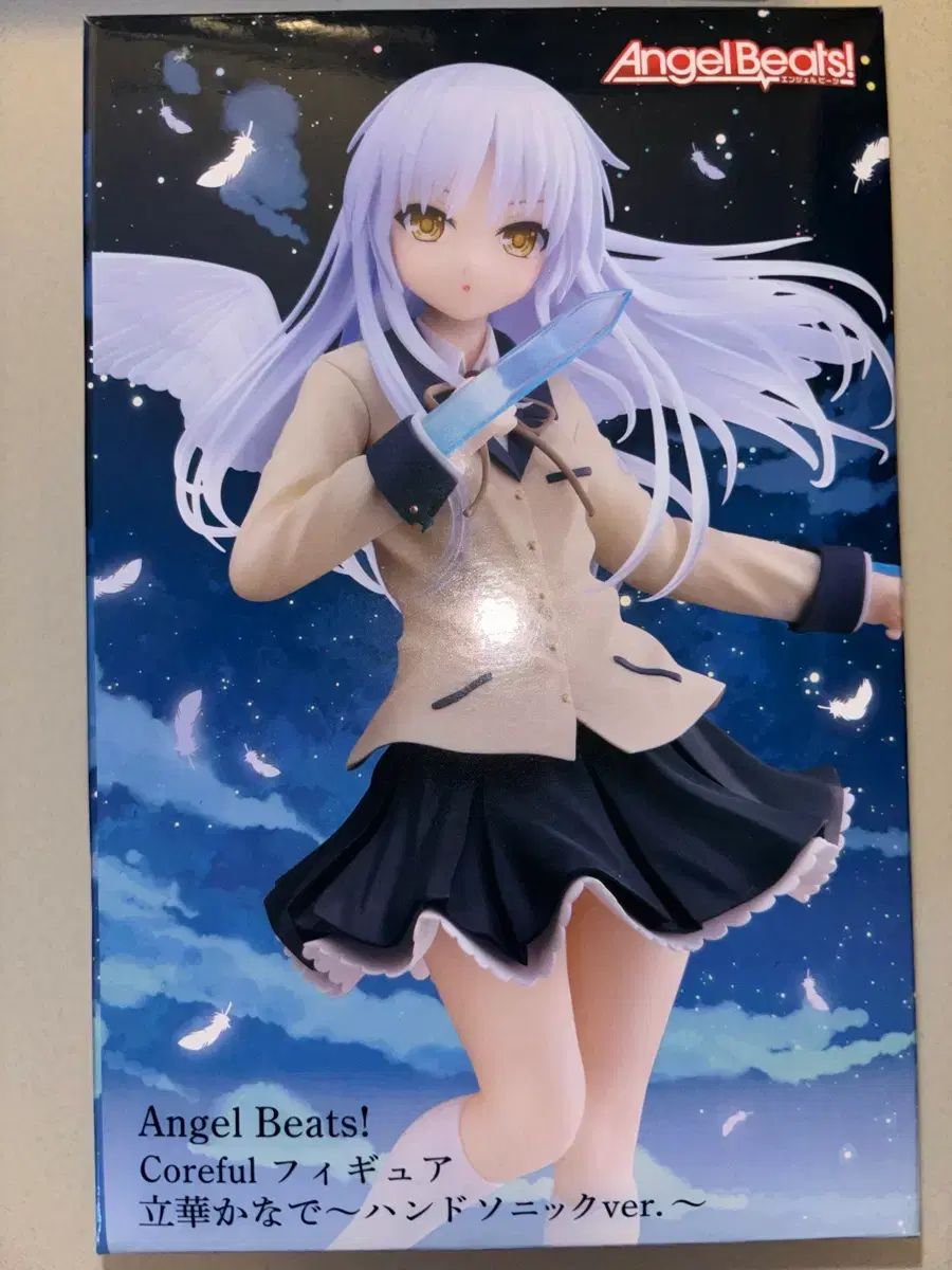 少年隊 WONDERLAND CD 錦織一清 東山紀之 ワーナーミュージック