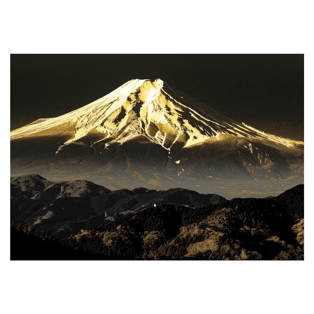 fabric scoop elite shallow カナダ国旗 サドル