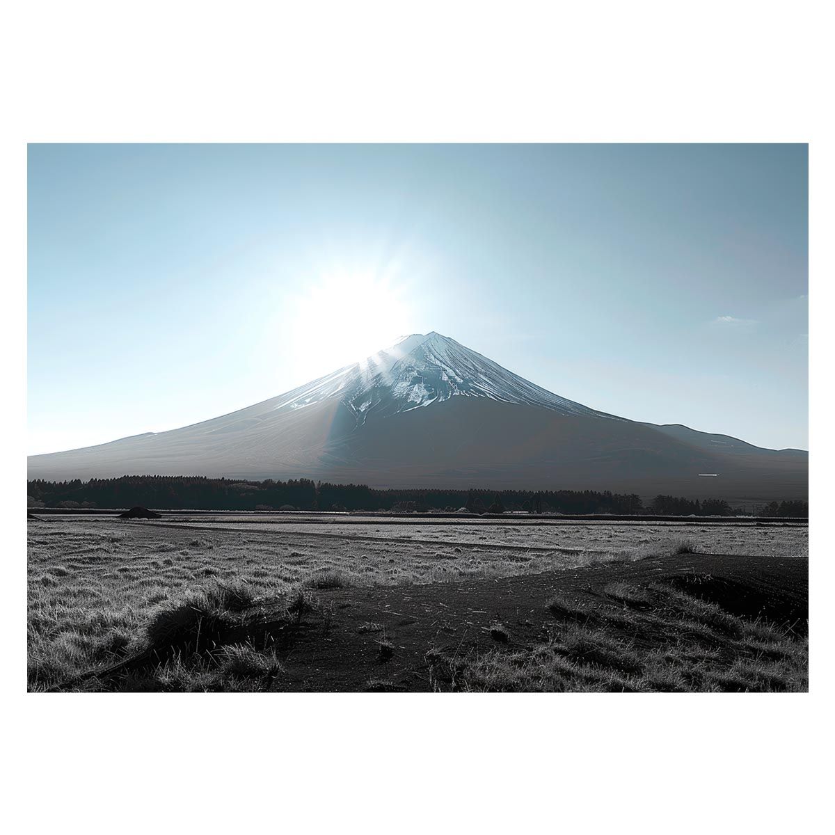 DUNLOP サマー ダンロップ エナセーブEC204 155/65R14 1本 6ミリ 2025年