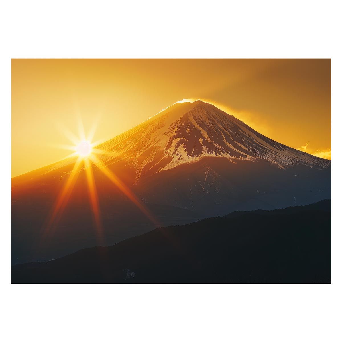 fujiページ 810 fuji style resin DT pearlpurple 699