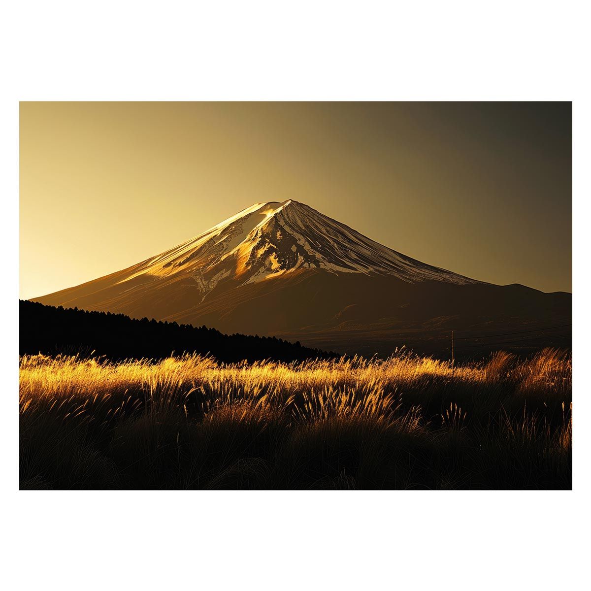 タカショー　株主優待◎ひかりノベーション　間のひかり タカショー 株主優待◎ひかりノベーション 間のひかり タカショー