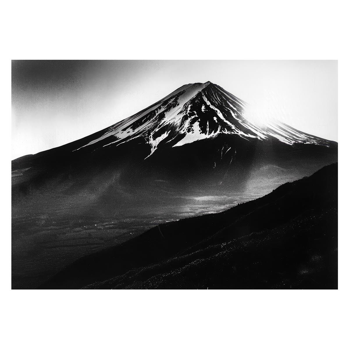 taz L7 melvins wool シルクスクリーンポスター