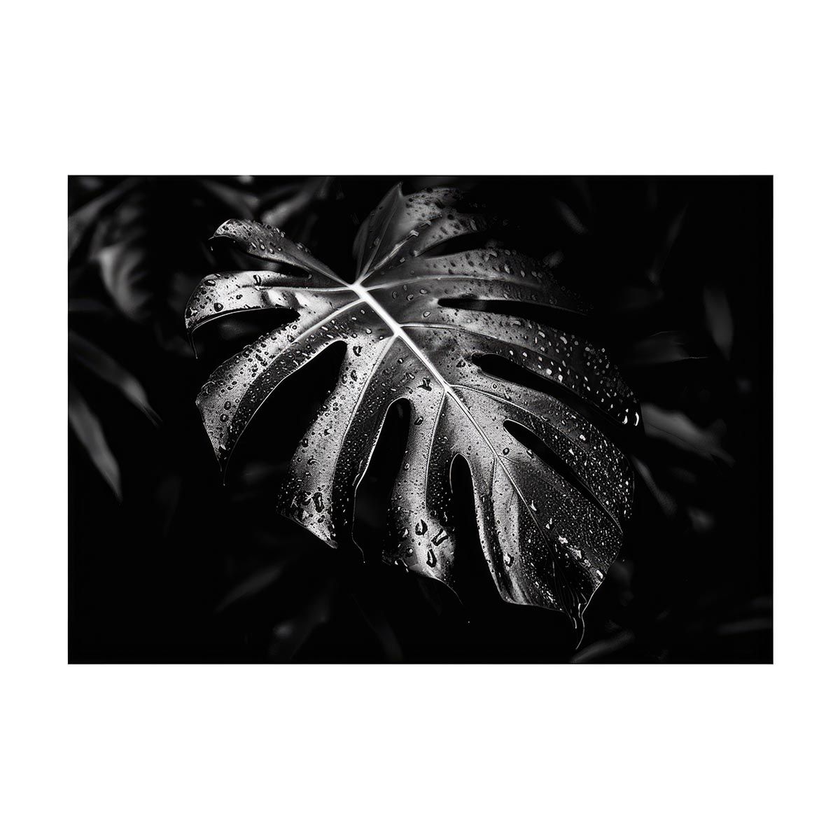 【B1サイズ（約73x103cm）】【lh-poster-4292】モンステラポスター トロピカル 熱帯植物 ハワイアン ボルシギアナ デリシオーサ アダンソニー 葉っぱ グリーン 植物 南国 インテリア アート