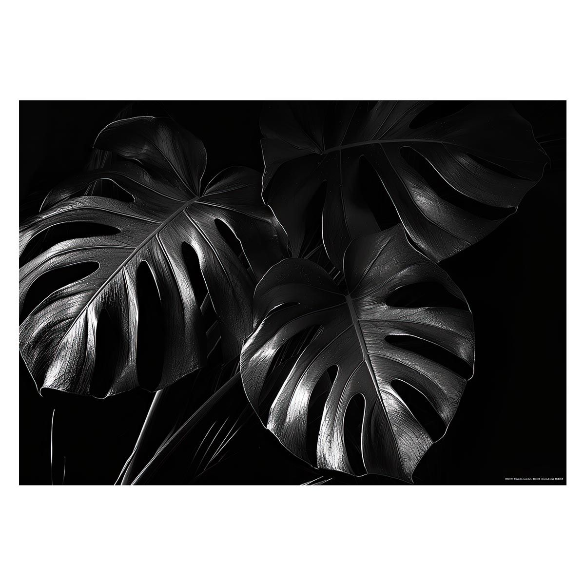 【B1サイズ（約73x103cm）】【lh-poster-4305】モンステラポスター トロピカル 熱帯植物 ハワイアン ボルシギアナ デリシオーサ アダンソニー 葉っぱ グリーン 植物 南国 インテリア アート