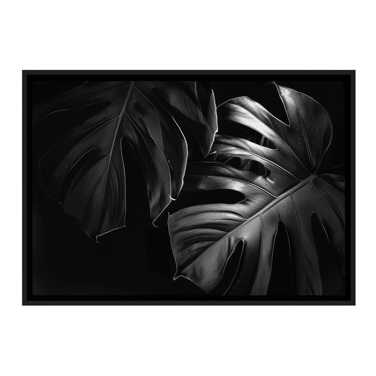 Harmonize ブラックスーツ セットアップ オンブレニーニョ