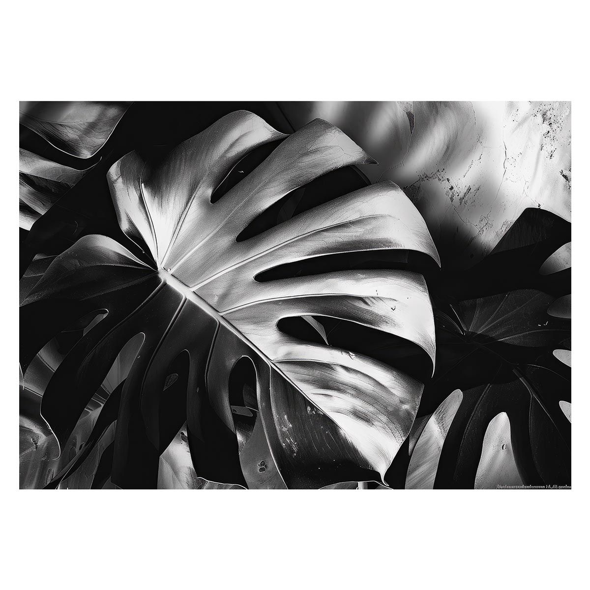 激レア交渉可能 筒井大志直筆サイン色紙 オファー 僕たちは勉強ができない