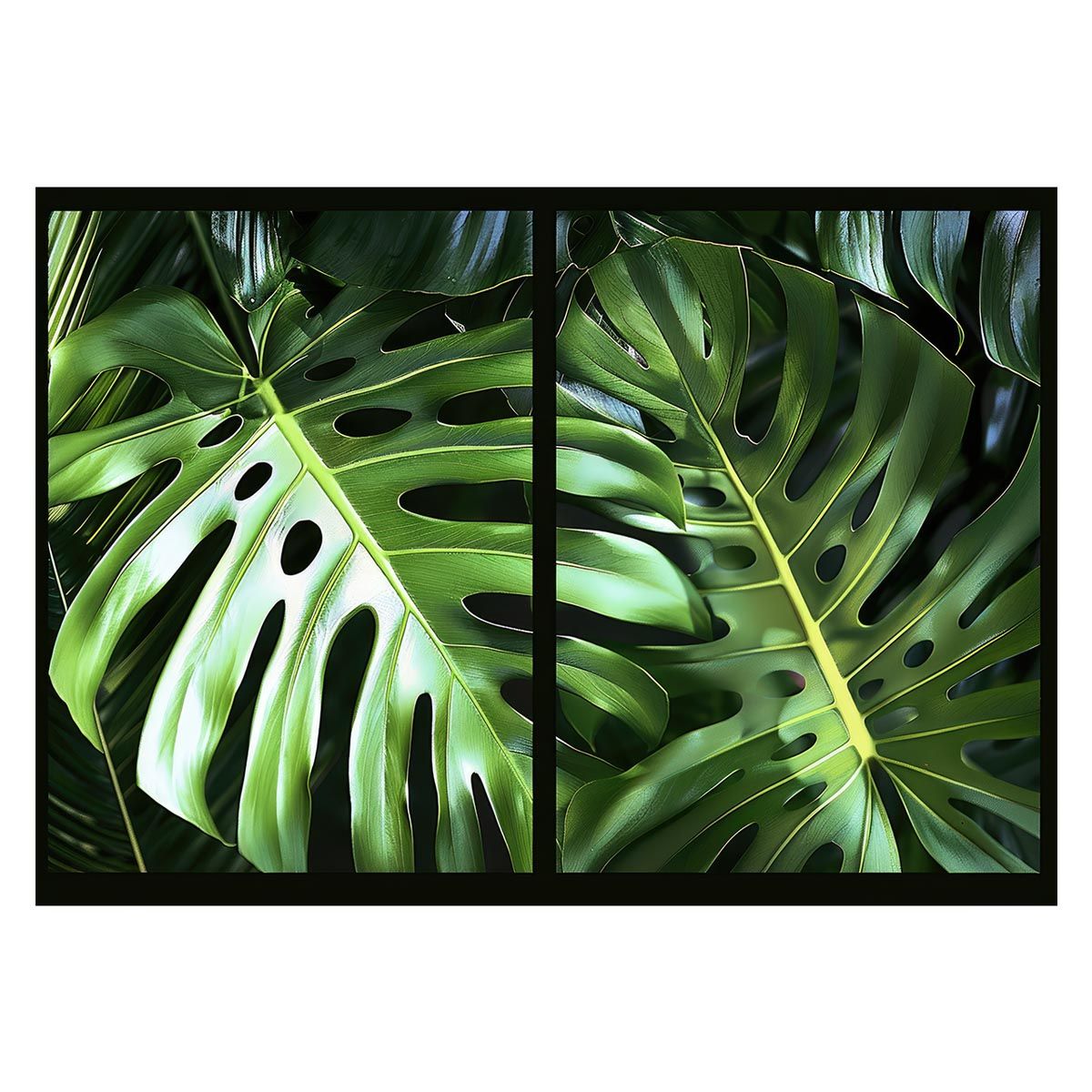 【A1サイズ（約59x84cm）】【lh-poster-4322】モンステラポスター トロピカル 熱帯植物 ハワイアン ボルシギアナ デリシオーサ アダンソニー 葉っぱ グリーン 植物 南国 インテリア アート