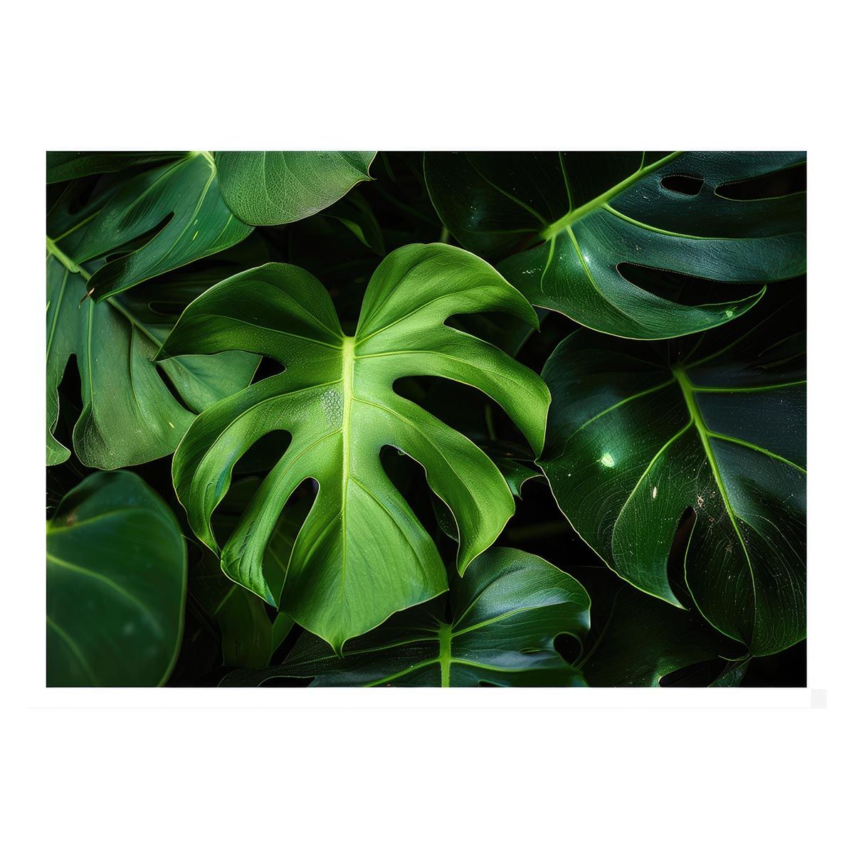 在庫一掃セール!! タペストリー♡モンステラ♡105×105♡ライトセルドン♡ Carbon Copy (54806) Carpet Tile | Philadelphia Commercial