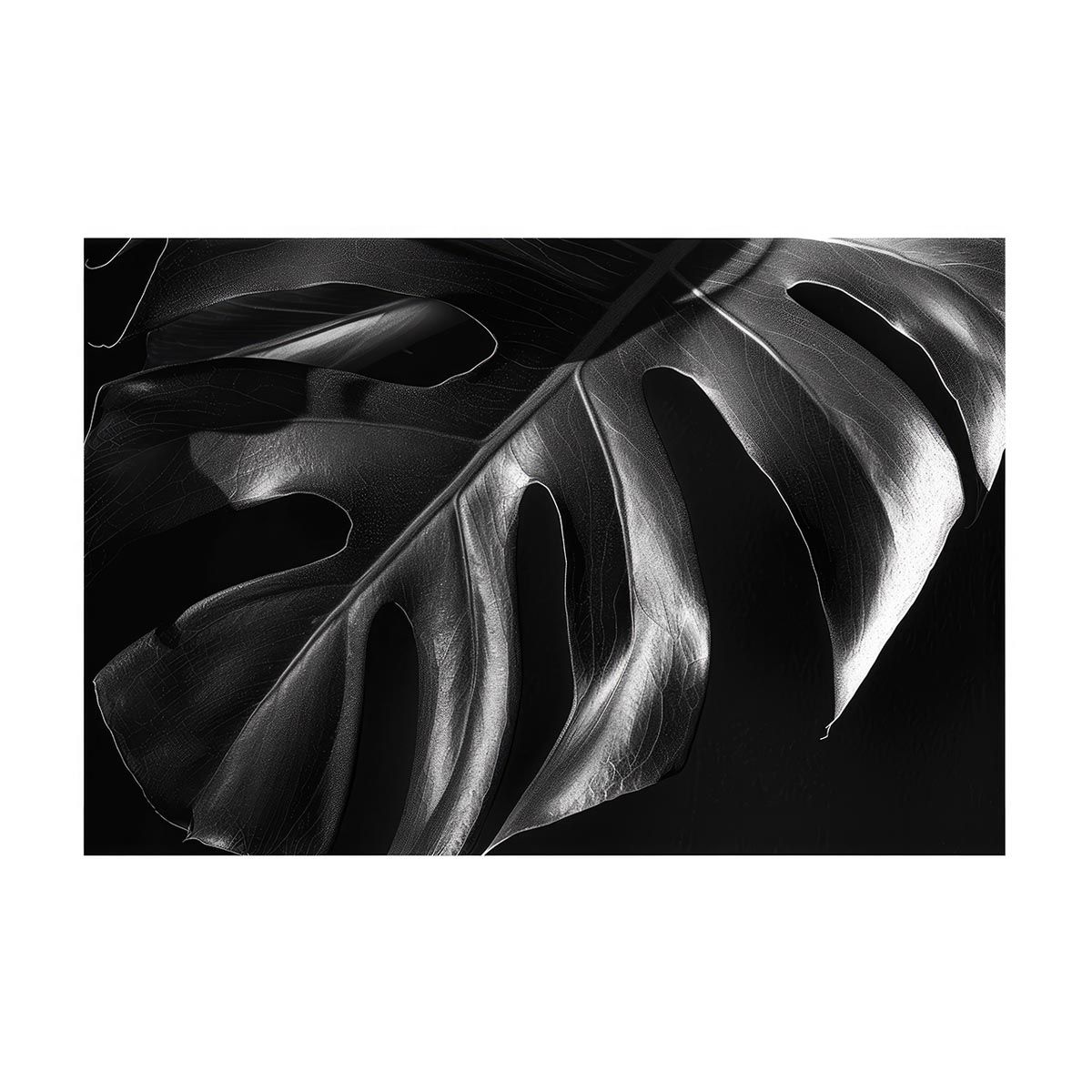 アリスインワンダーランド フィギュア2体セット 白の女王 赤の女王