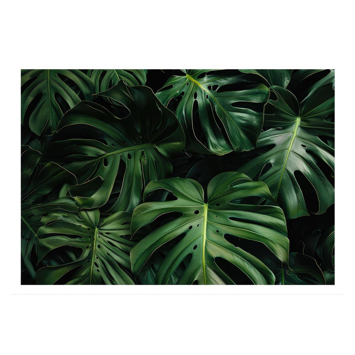 トアルソン パンドラ 希少限定品 シリアルナンバー 015