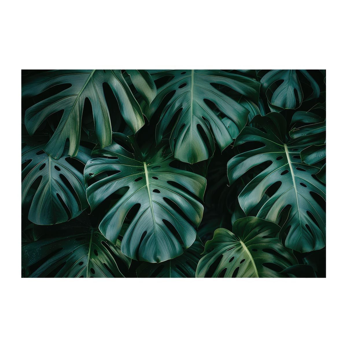 るんちゃんさま レディース パーリーゲイツ PEARLY GATES 長袖シャツ 0(S) 紺 ネイビー