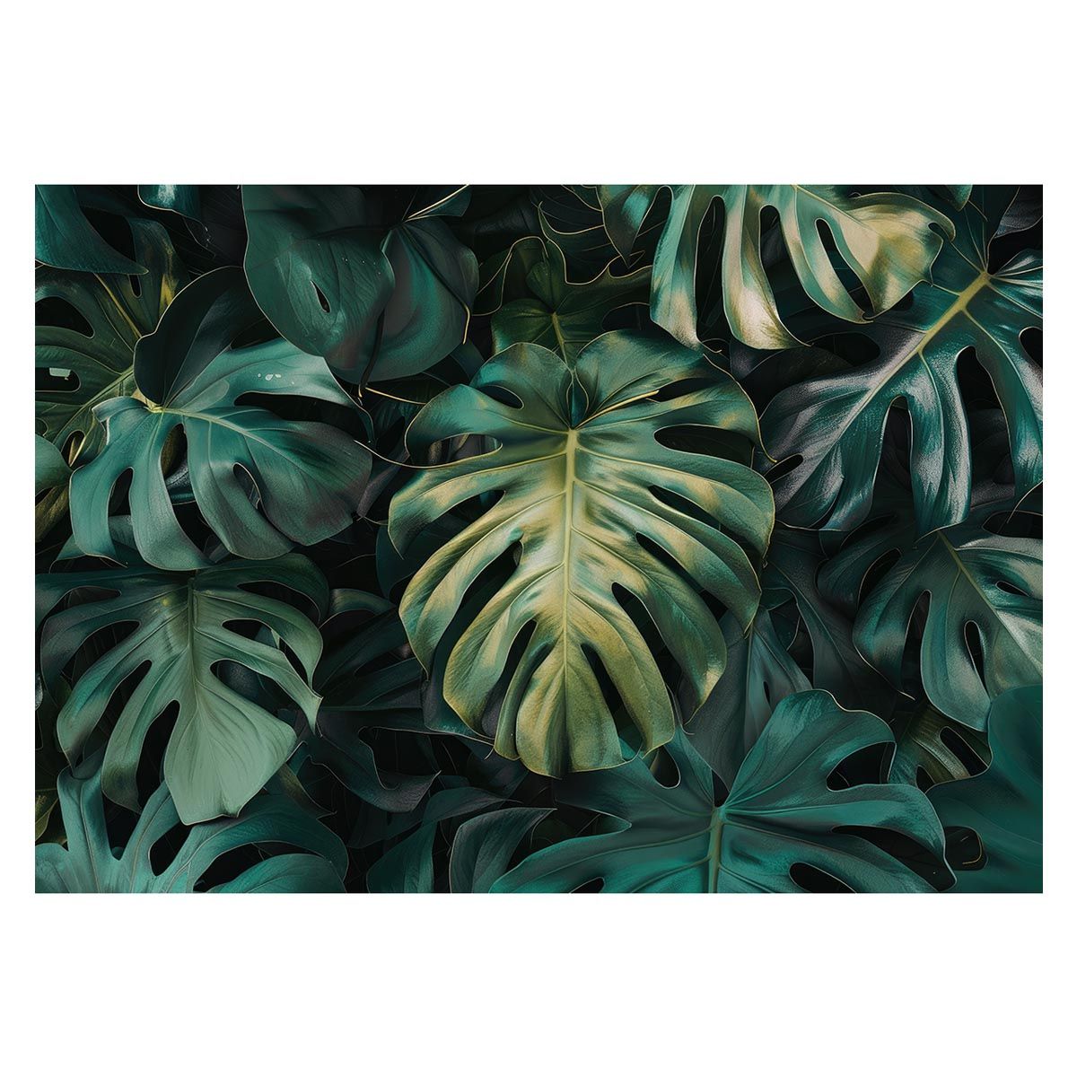 【A1サイズ（約59x84cm）】【lh-poster-4336】モンステラポスター トロピカル 熱帯植物 ハワイアン ボルシギアナ デリシオーサ アダンソニー 葉っぱ グリーン 植物 南国 インテリア アート