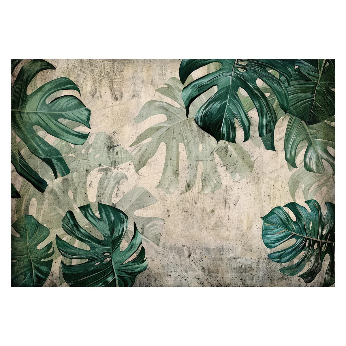 【A2サイズ（約42x59cm）】【lh-poster-4340】モンステラポスター トロピカル 熱帯植物 ハワイアン ボルシギアナ デリシオーサ アダンソニー 葉っぱ グリーン 植物 南国 インテリア アート