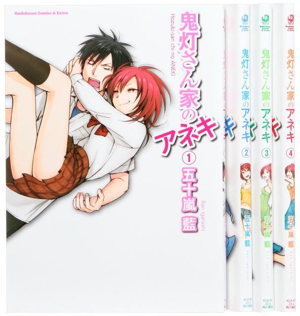 【中古】【非常に良い】鬼灯さん家のアネキ　全4巻完結セット