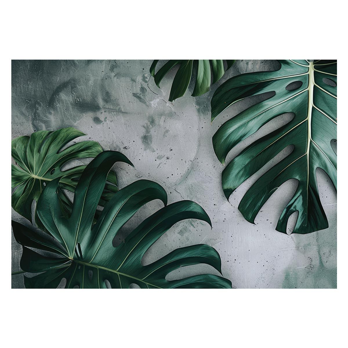 脂*質様 ショップ リーバイス501スタッズブラックデニム 山田蓮