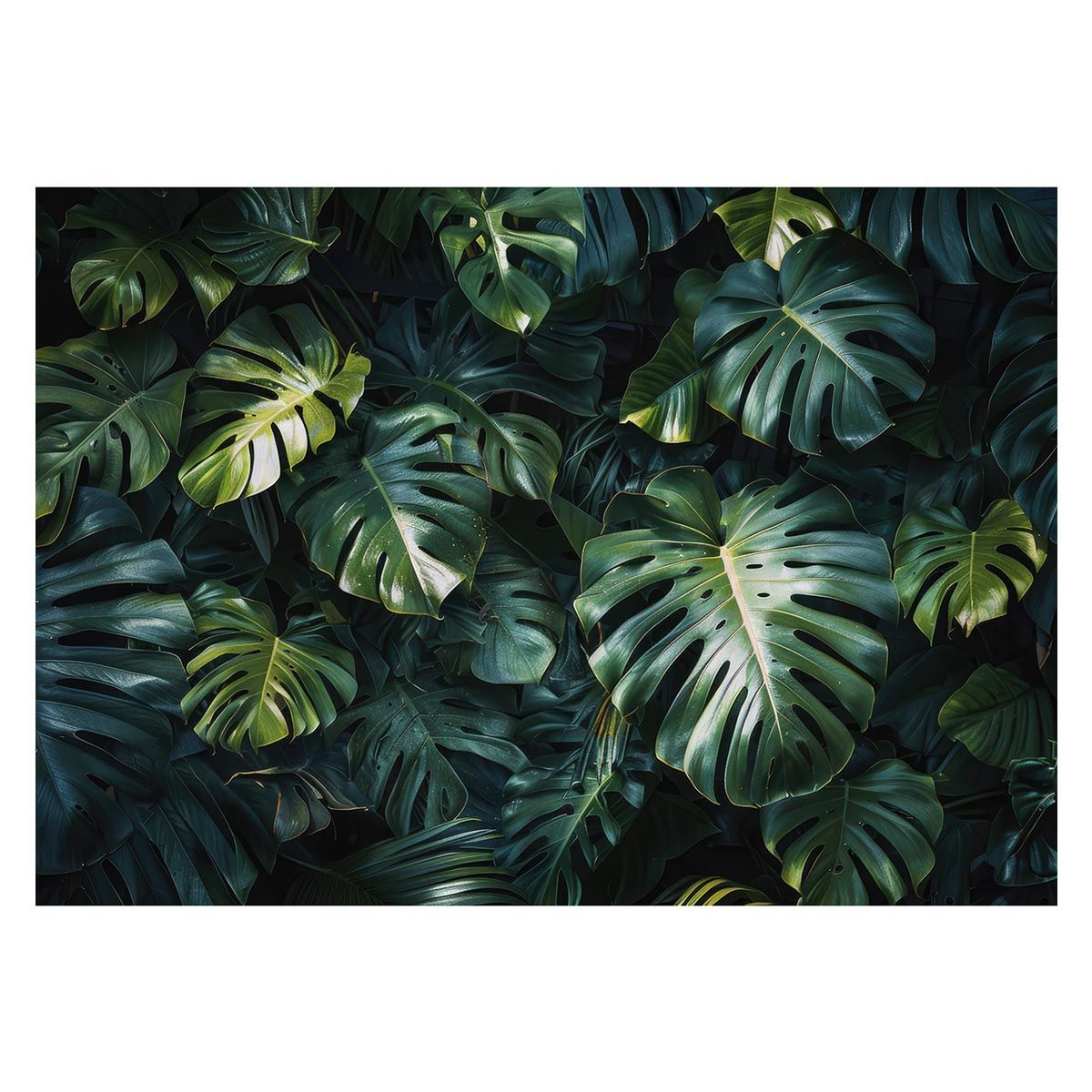 山口 薫、緑衣横臥婦人像、限定版、額装用画集より、新品高級額、額装