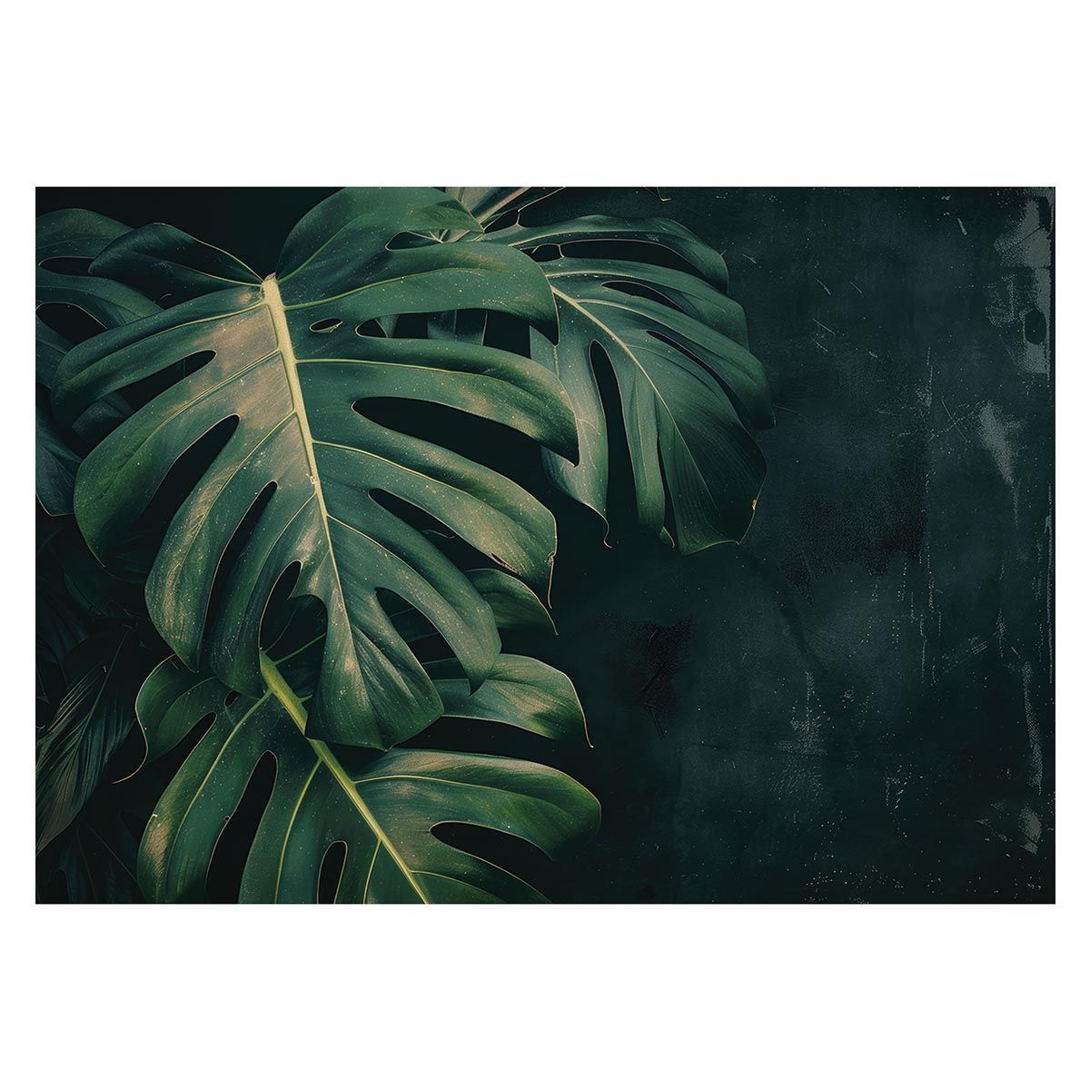 ドレイパー DEテープ ブリスターパック12個入リ ドレイパーDEテープ